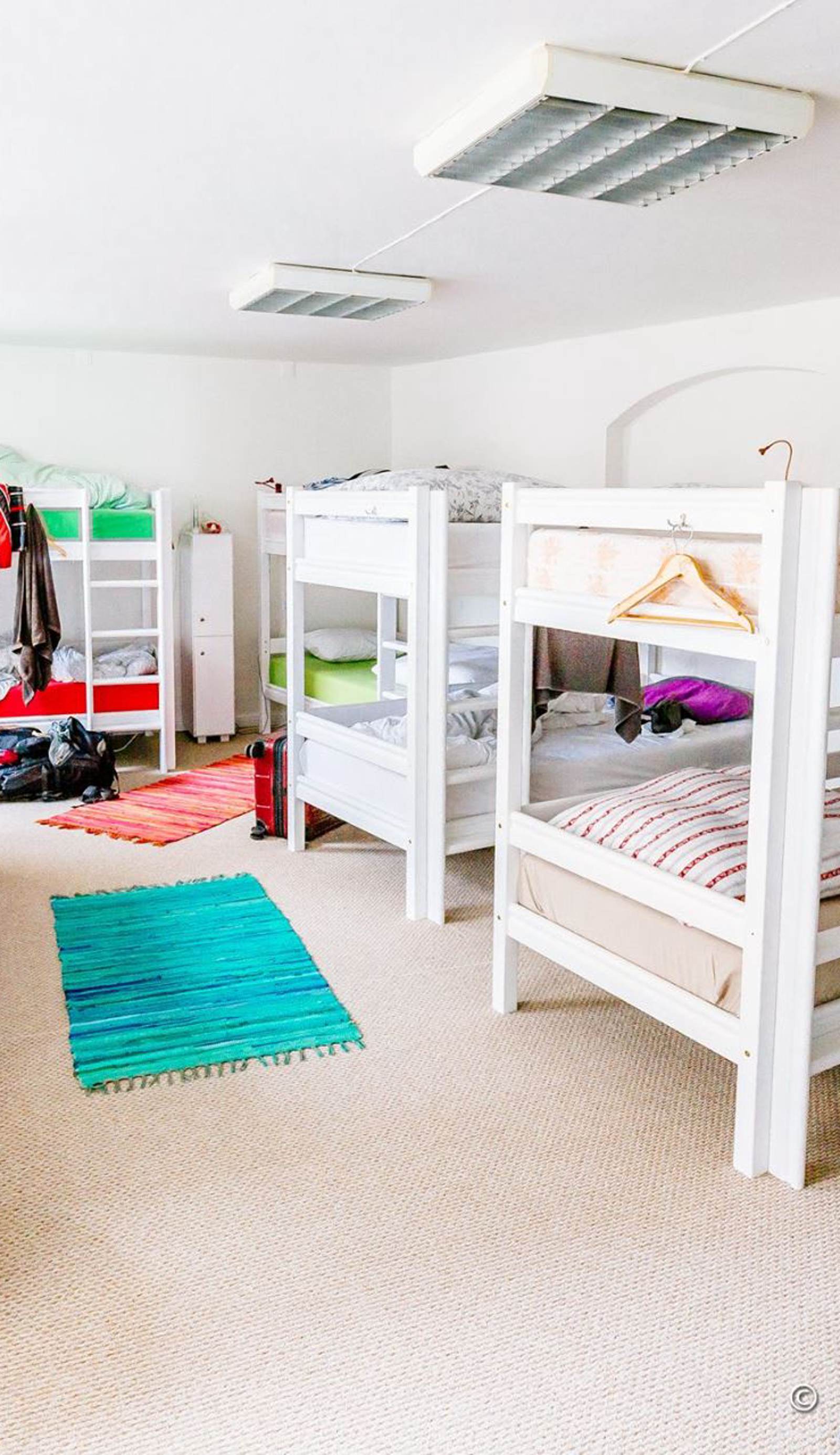 Tree House Hostel