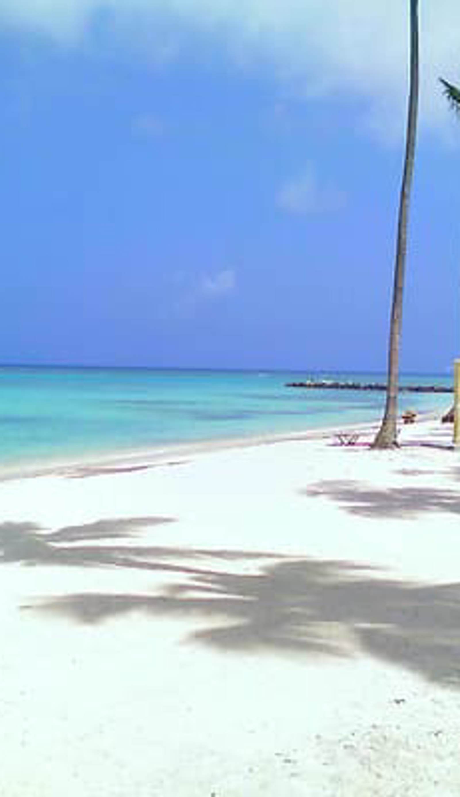 Punta Cana Hostel