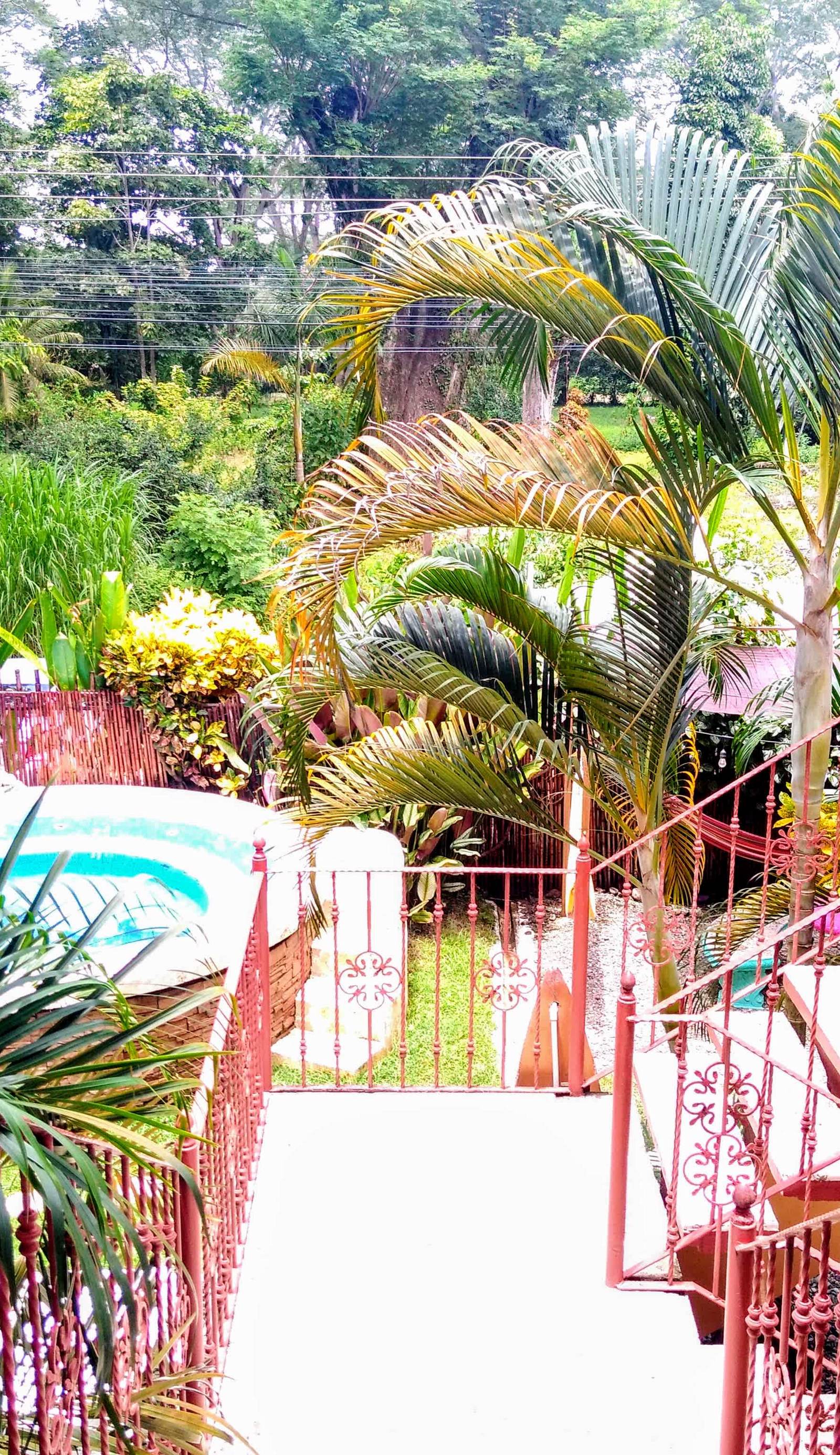 Cool Vibes Beach Hostel