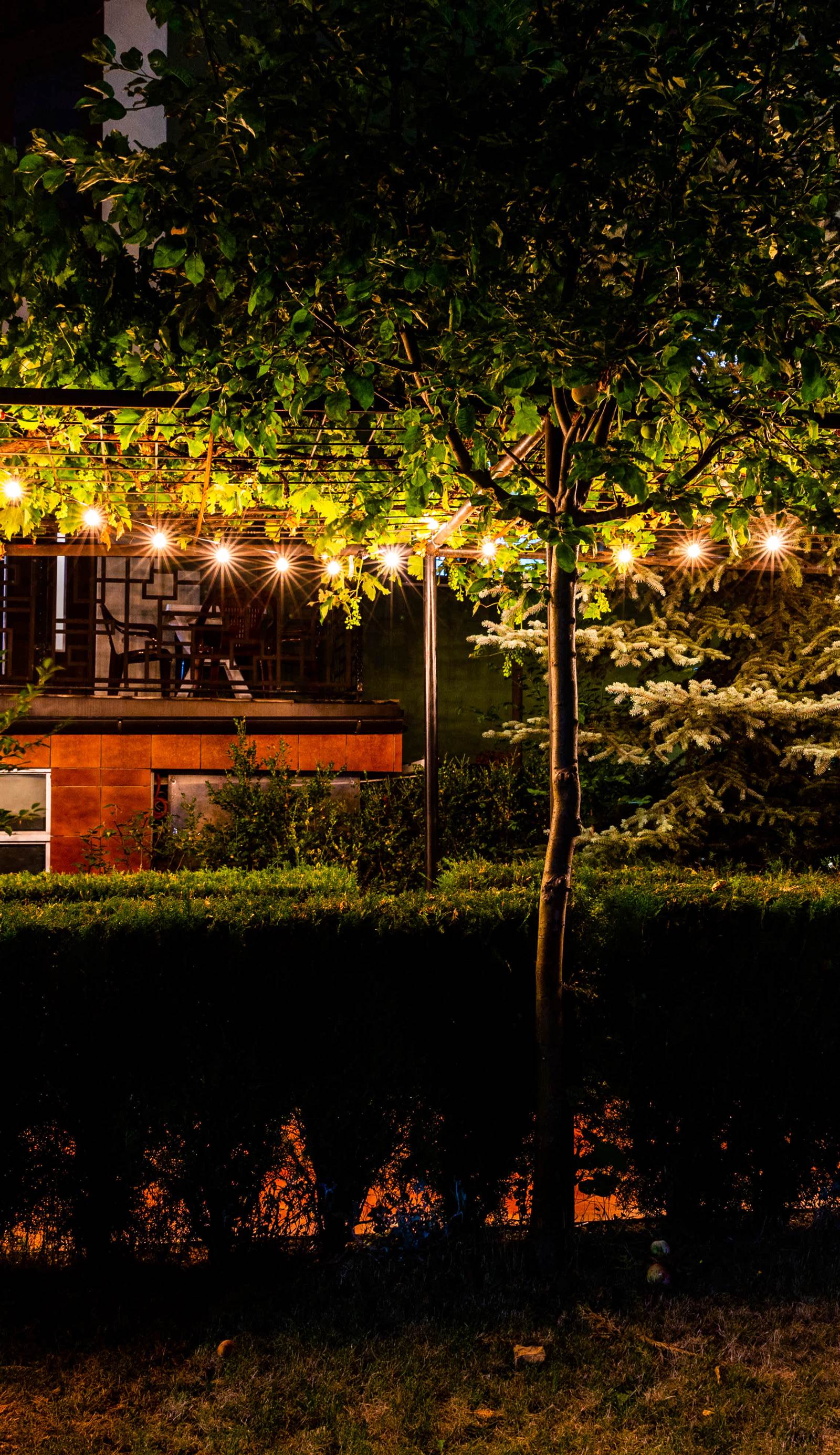 Alias Hostel