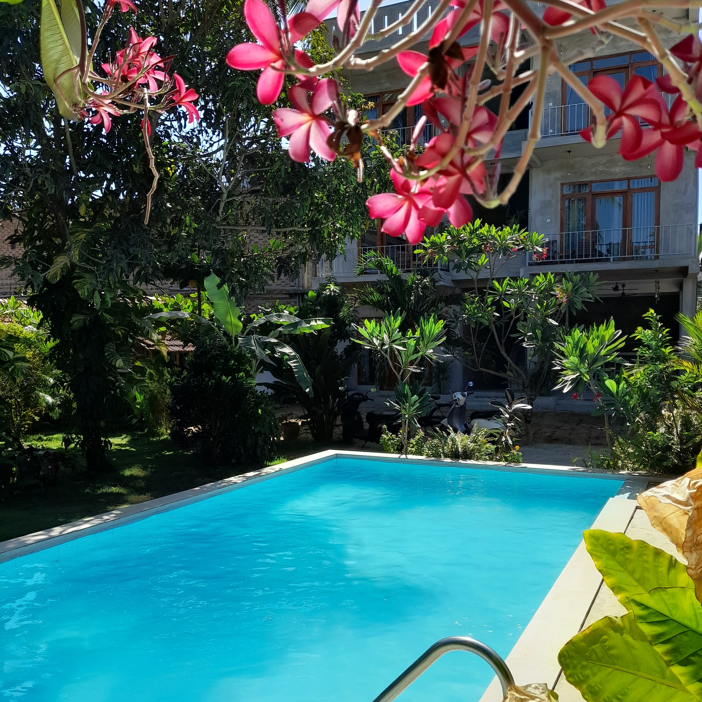 Surf Gangs Hotel Arugambay