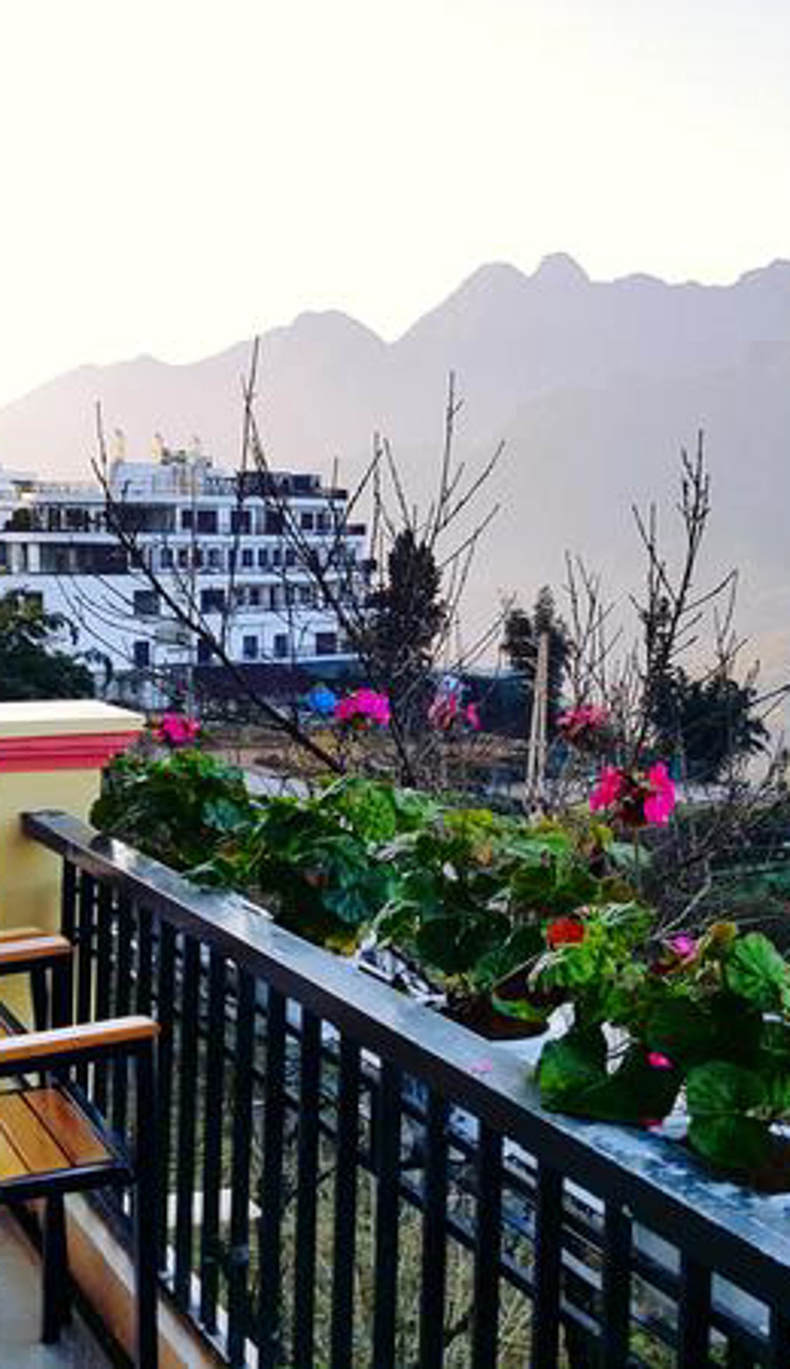 Sapa Odyssey Hostel