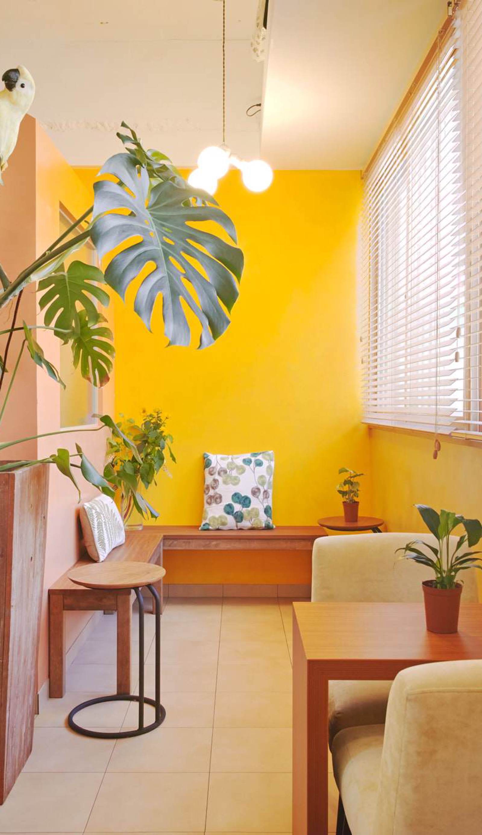 Hostel Casa Noda