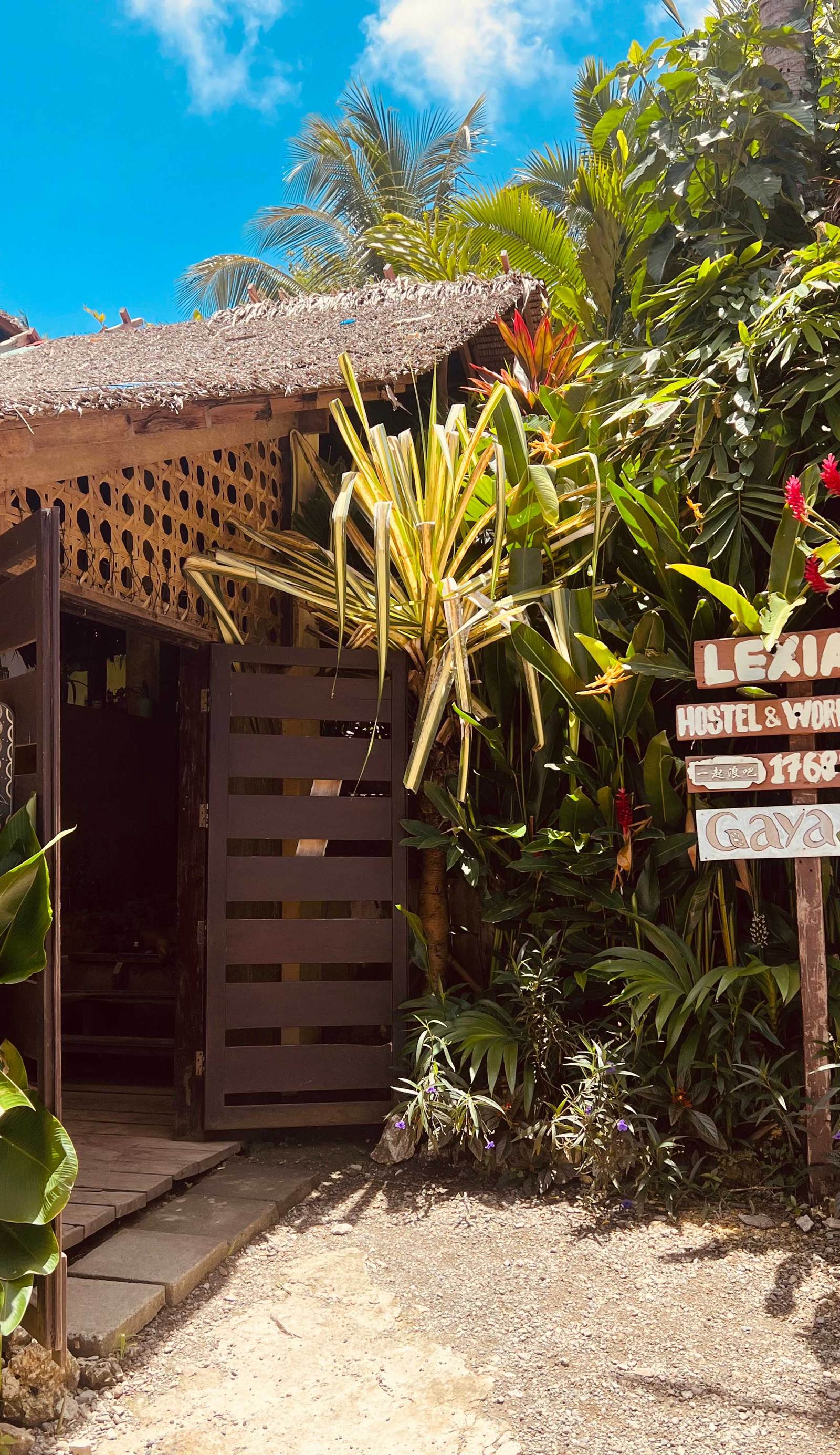 Lexias Hostel and Workspace
