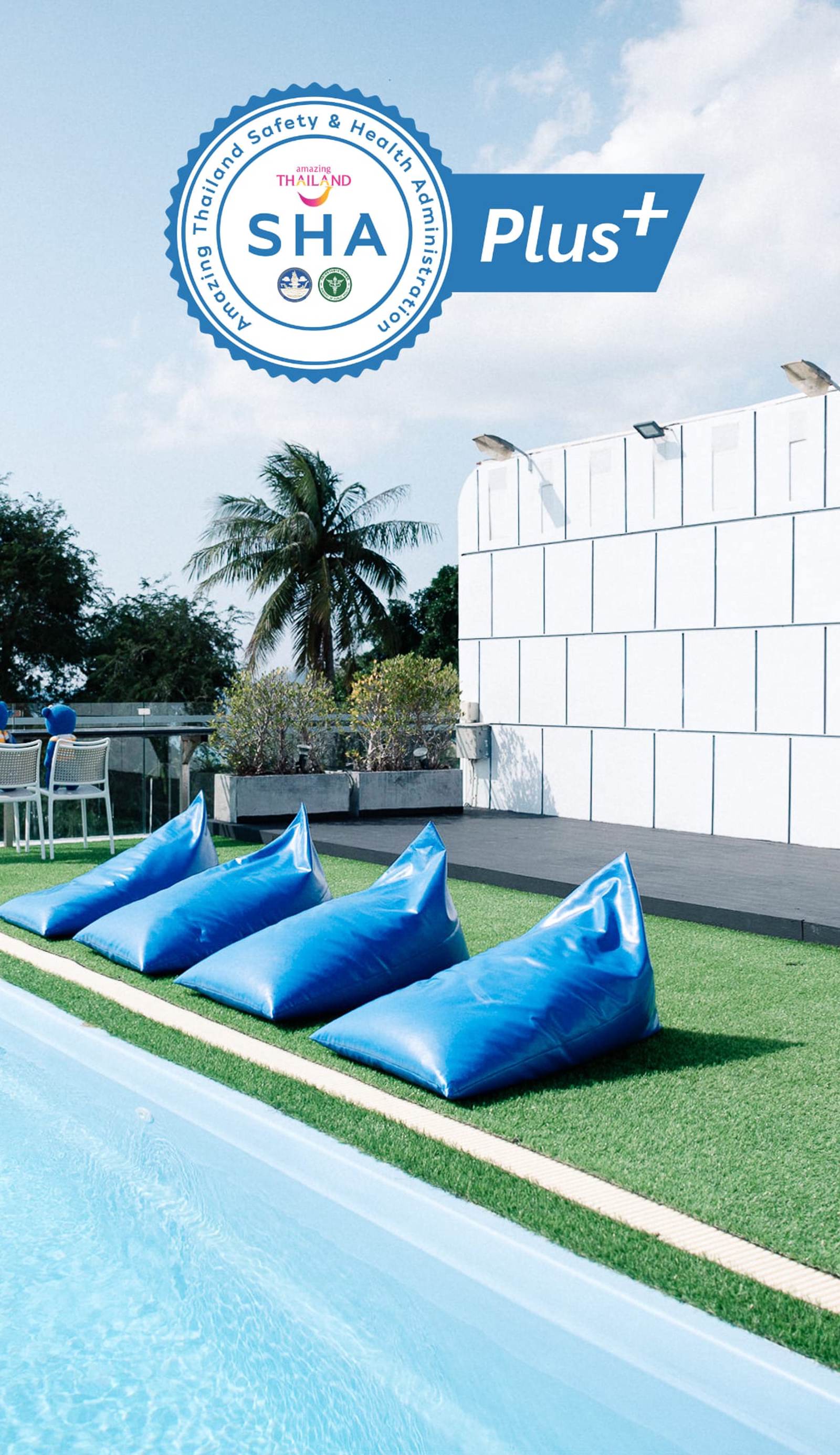 BearPacker Patong Hostel