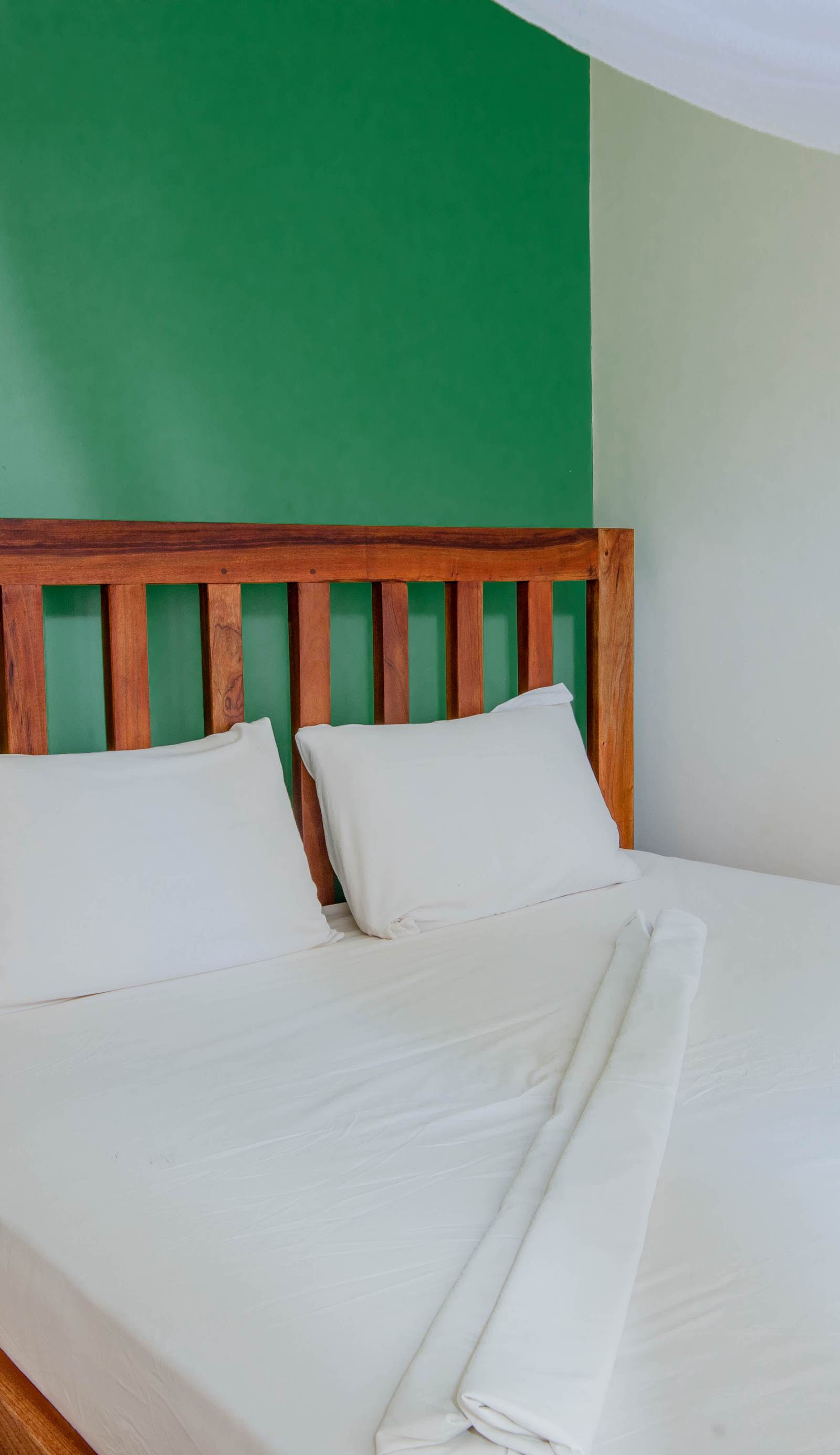 The Slow Leopard Hostel