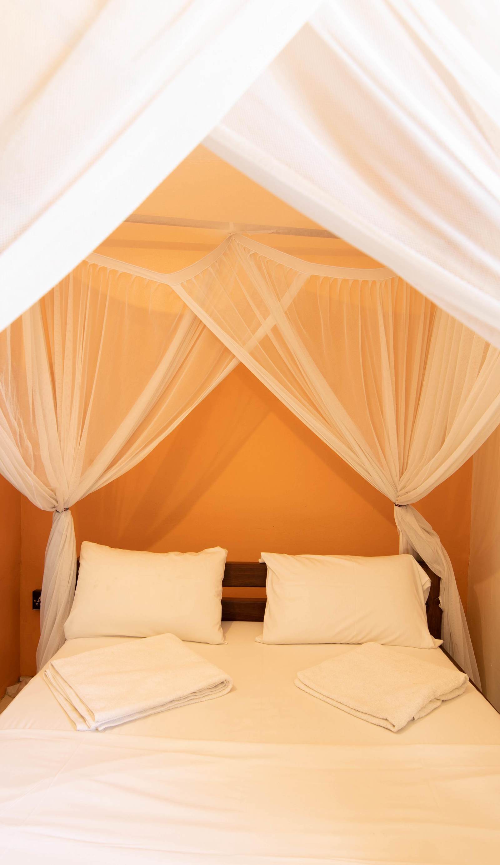 The Slow Leopard Hostel
