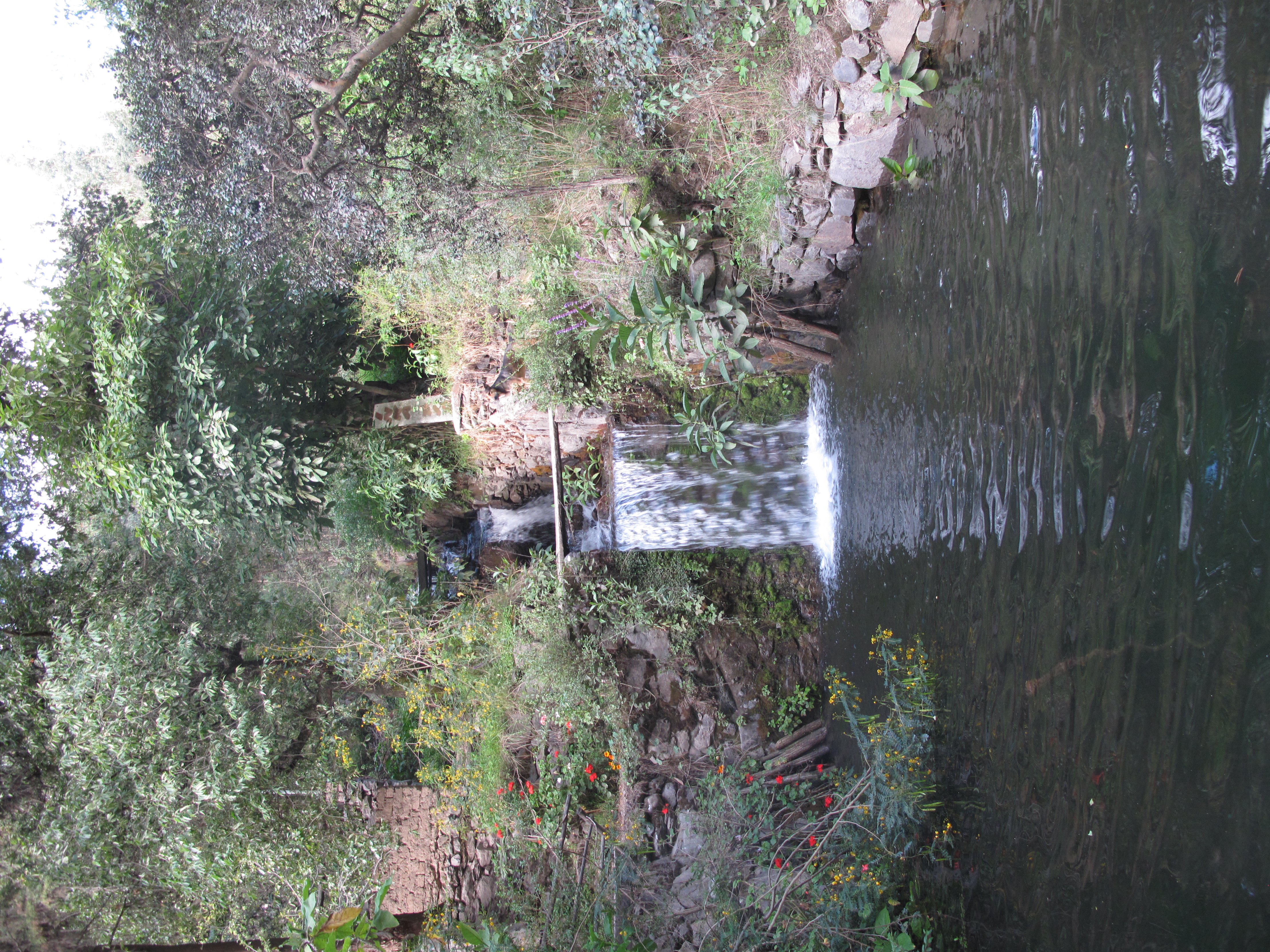 Hostel Inka Paccha - Cascada Inka