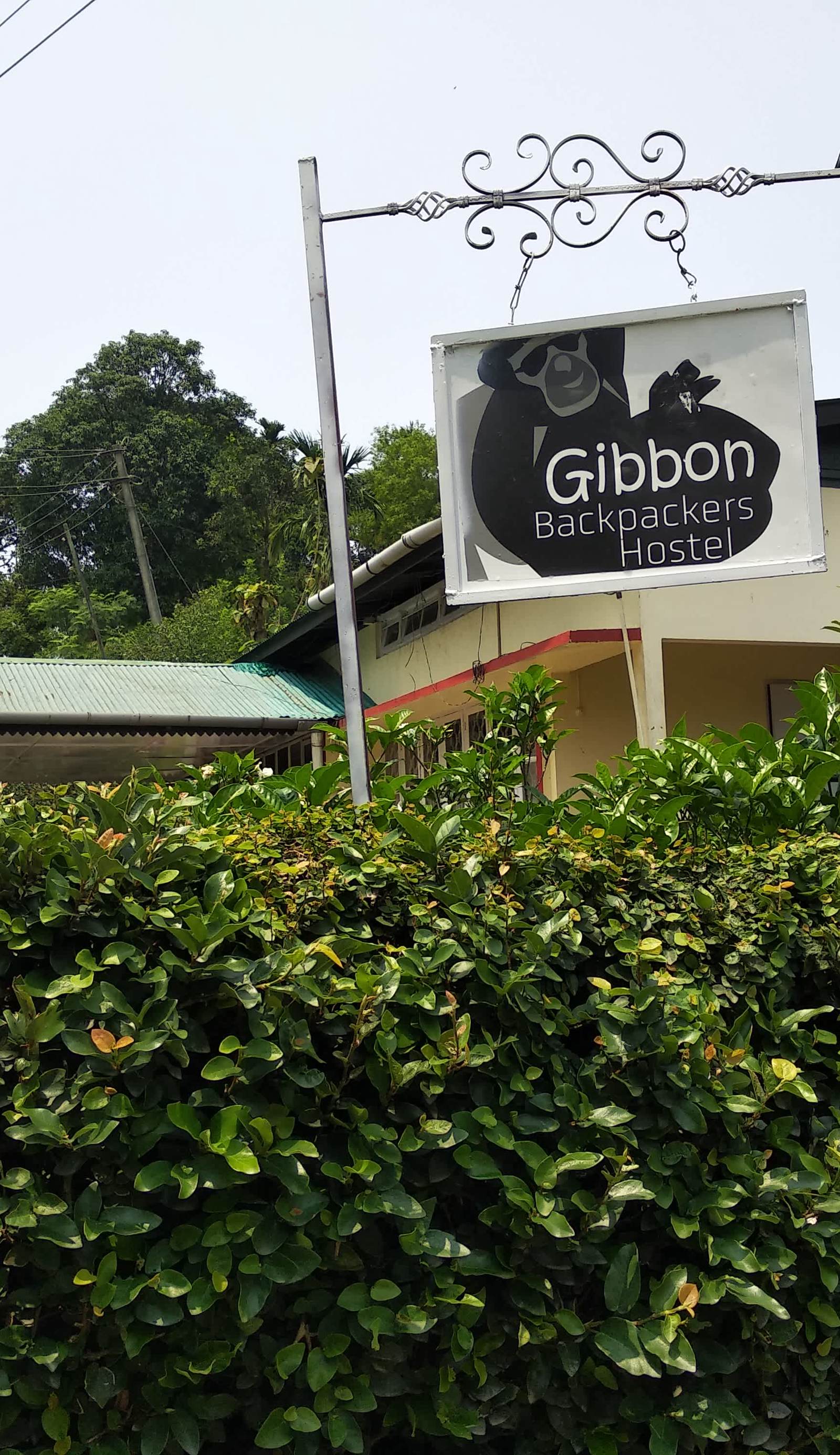 Gibbon Backpackers Hostel