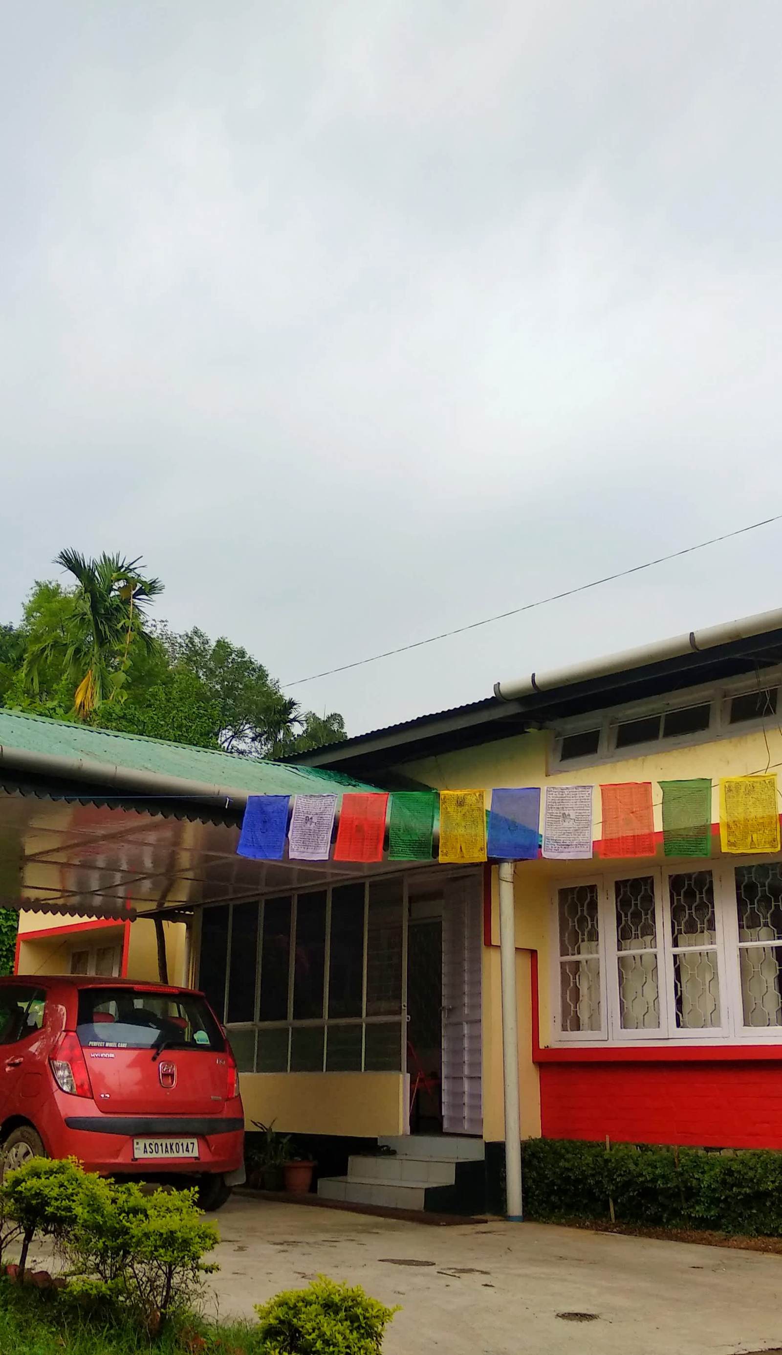 Gibbon Backpackers Hostel