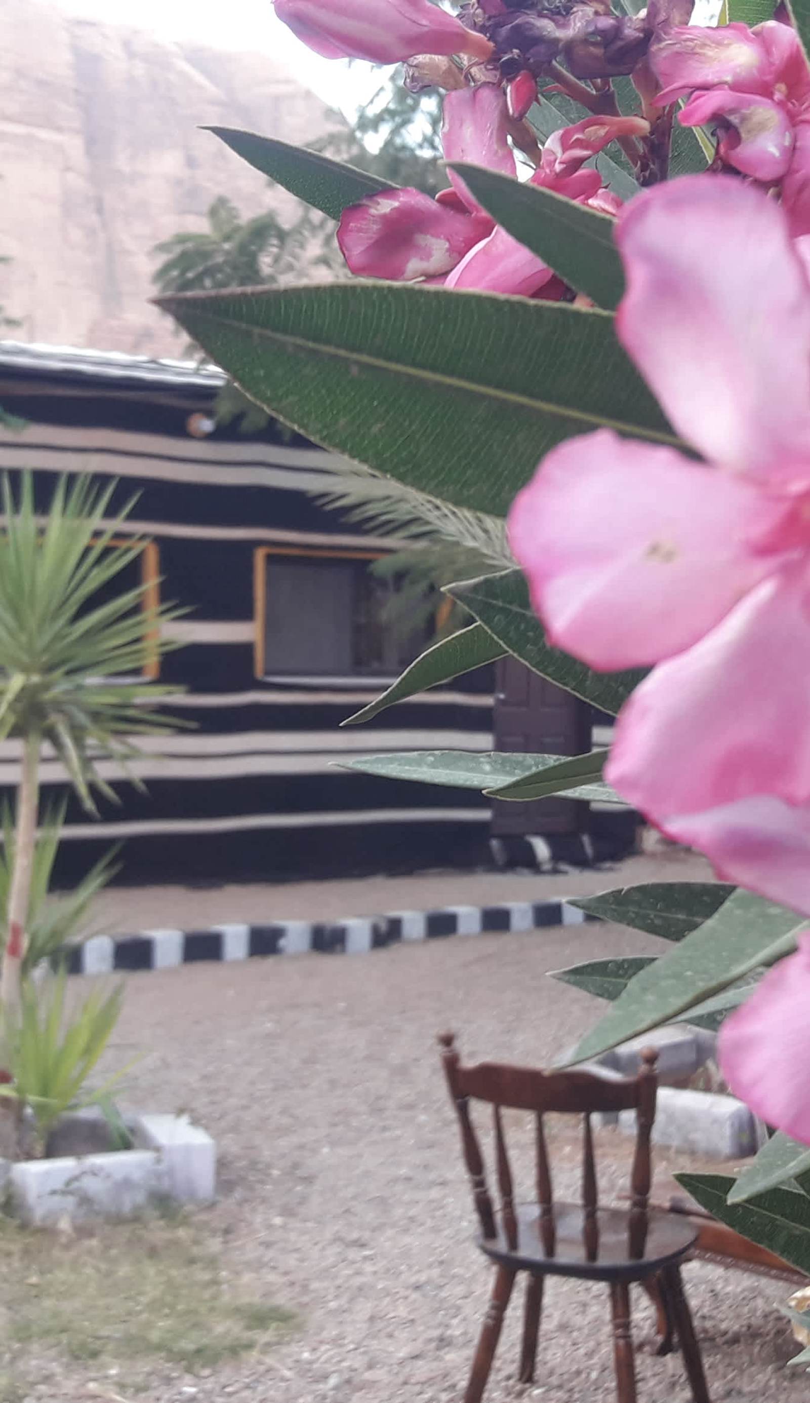 Wadi Rum Village Lodge
