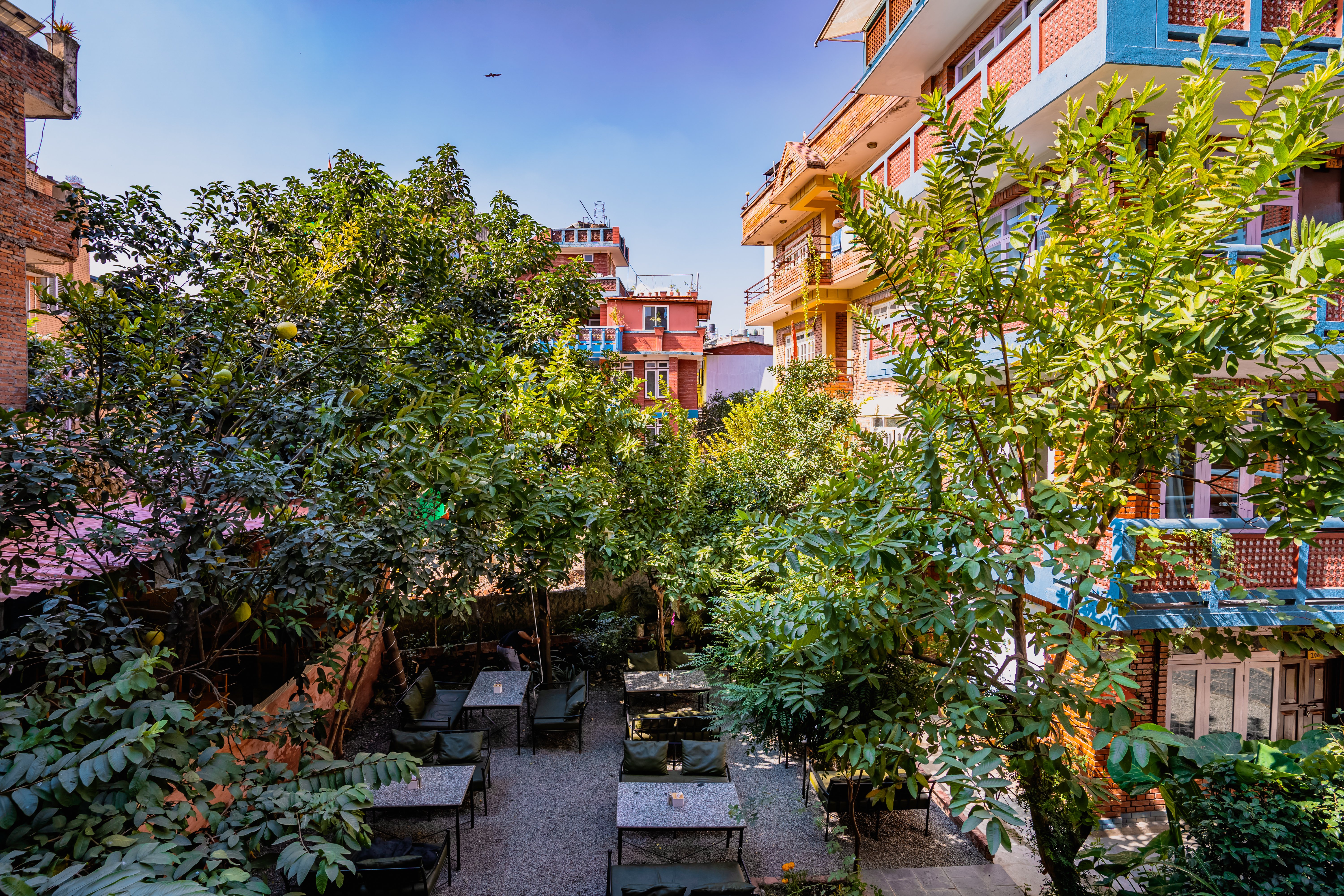 Kwabahal Garden Hostel