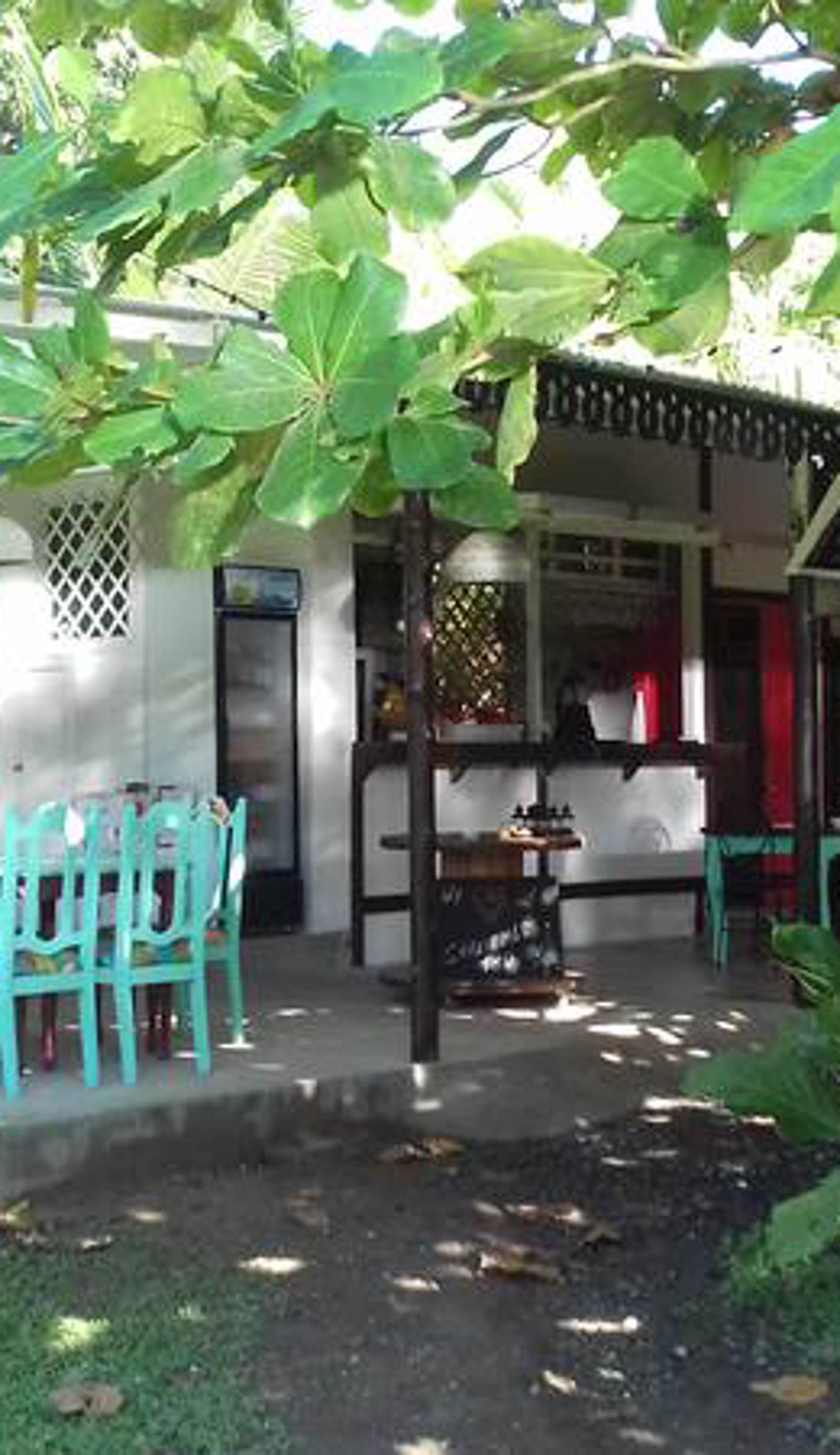 Bajo el Arbol B&B