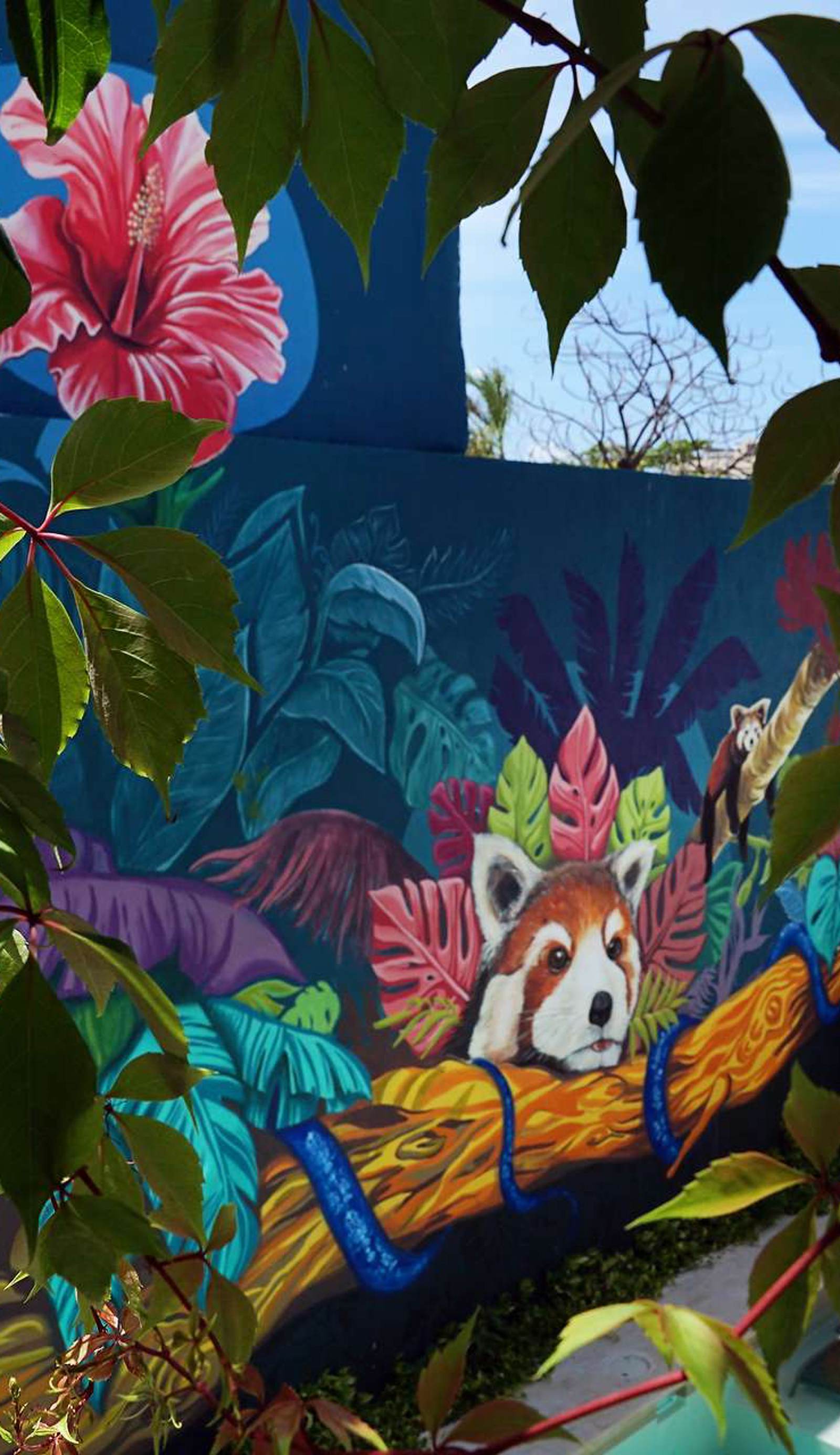 Red Panda Hostal