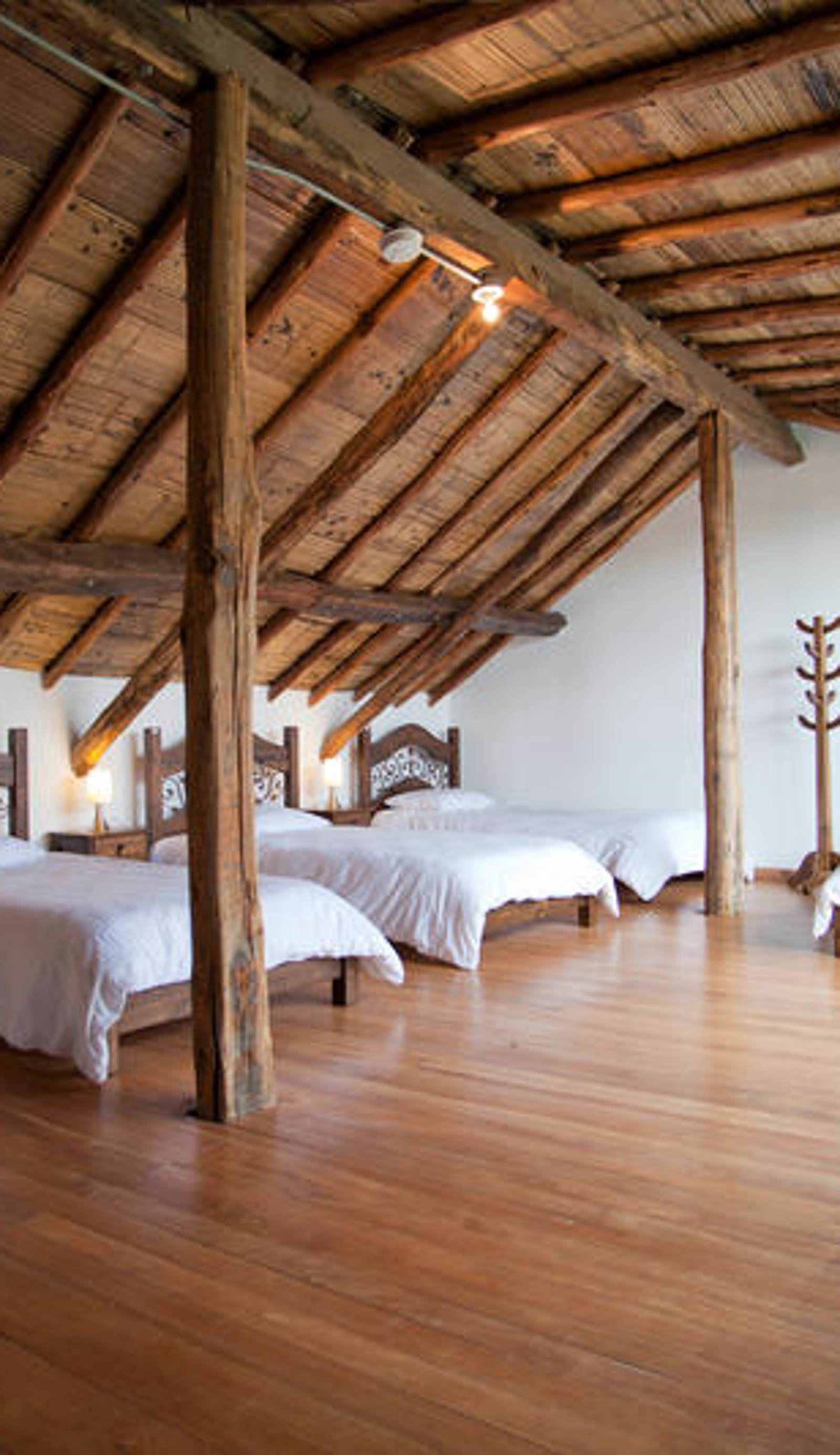 Arche Noah Boutique Hostel