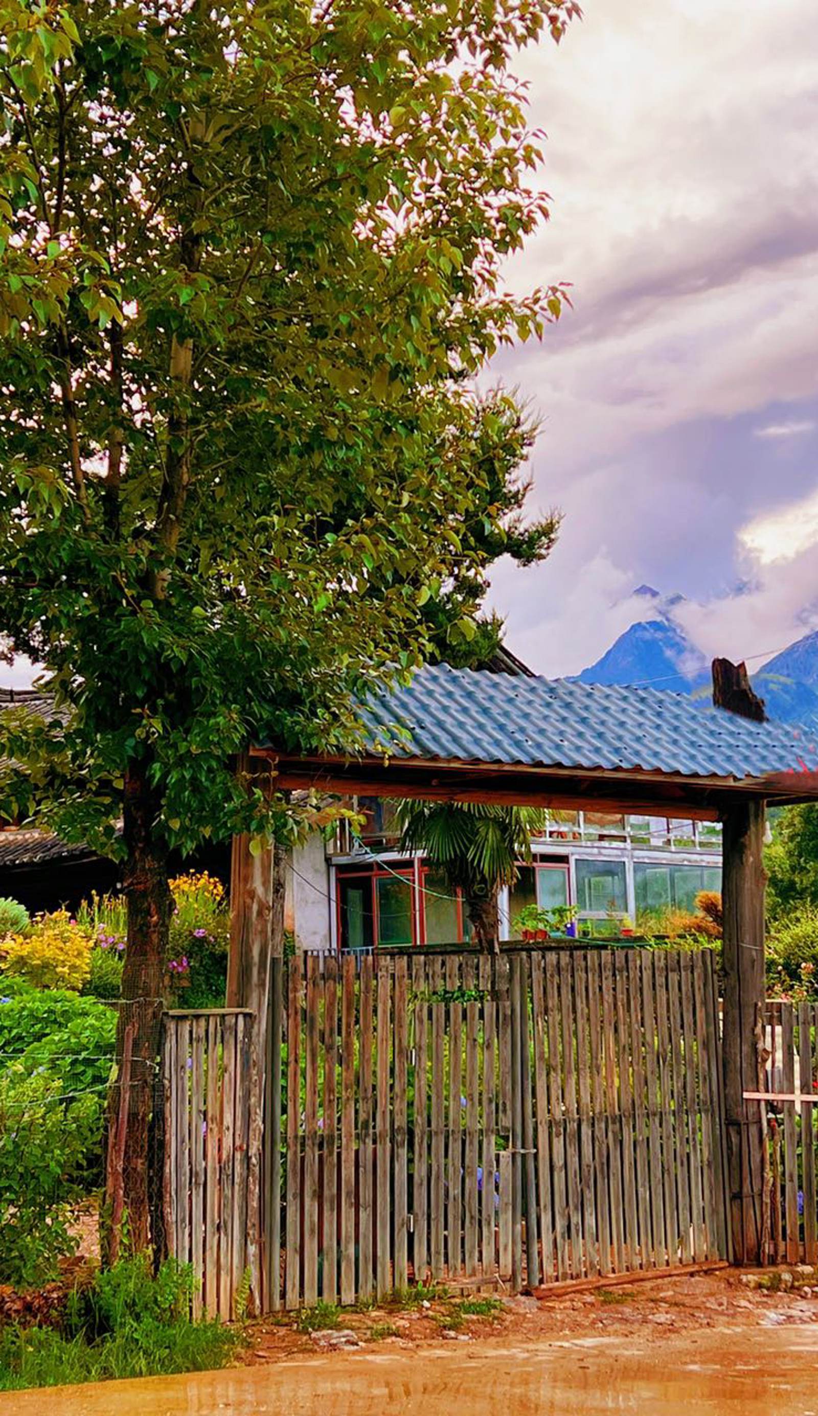 Cloud Meets Flower Farm Inn