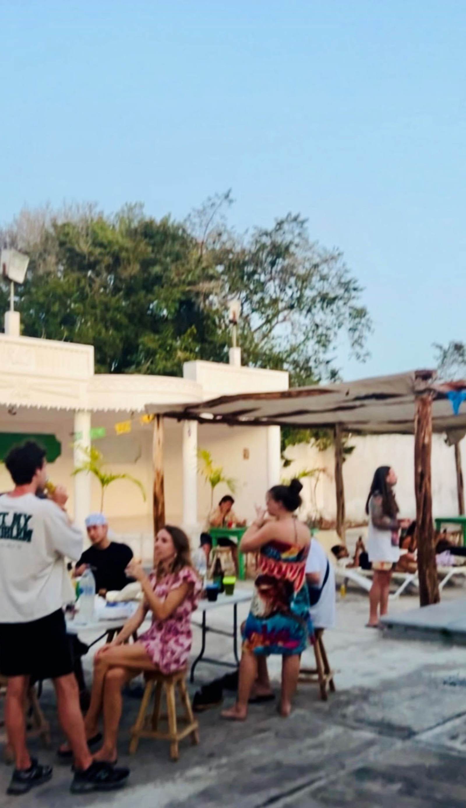 Treebu Hostel