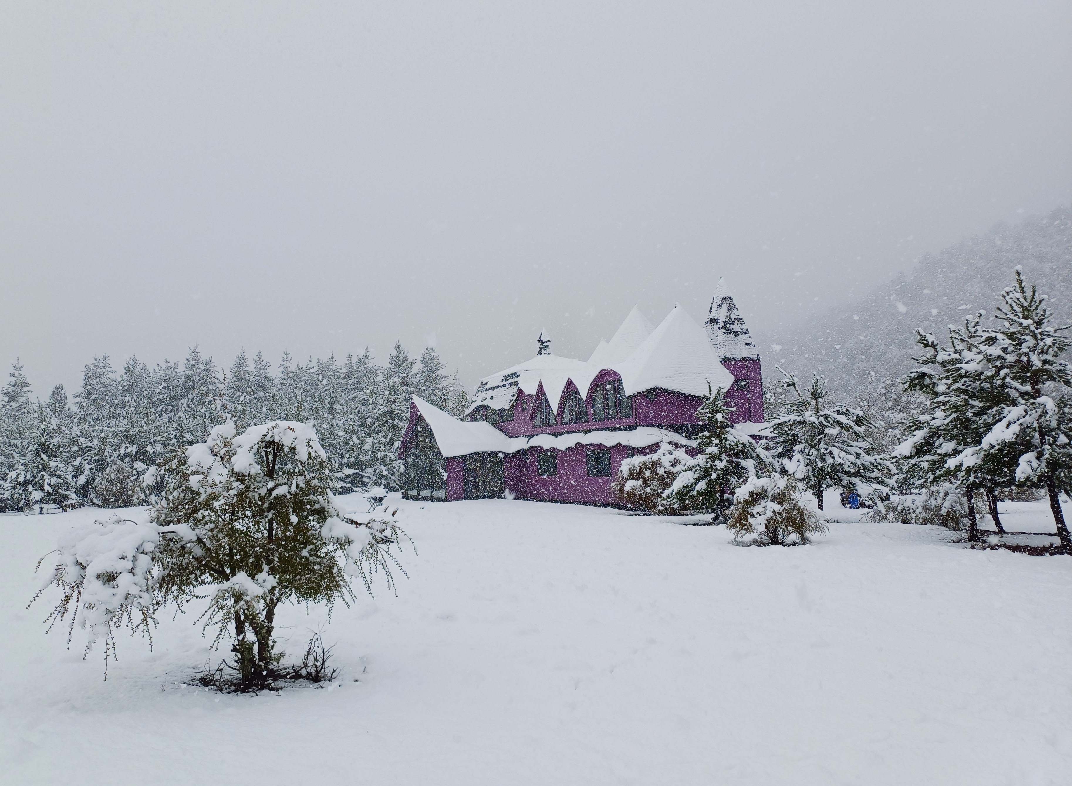 Spectra Lodge