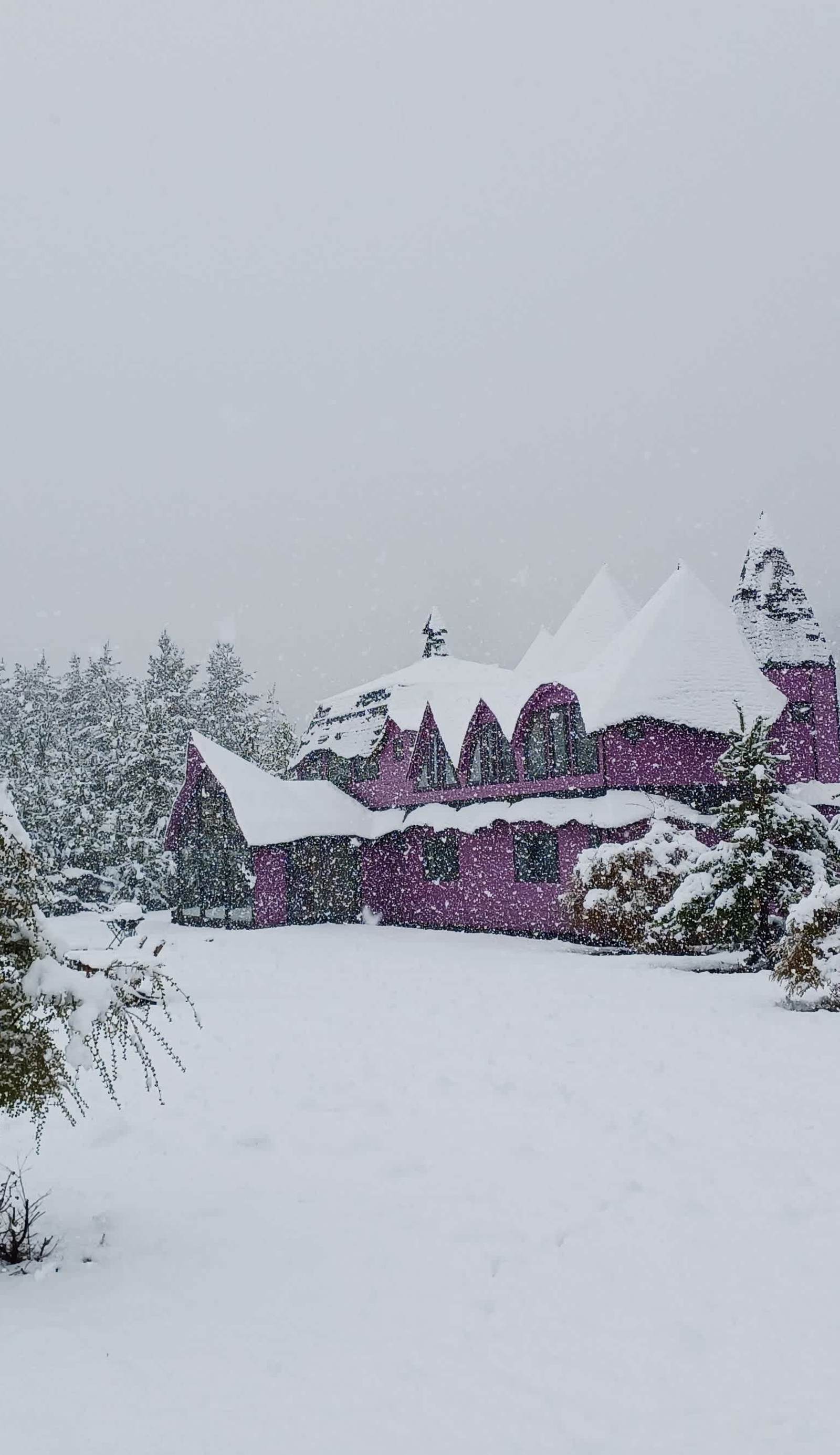 Spectra Lodge
