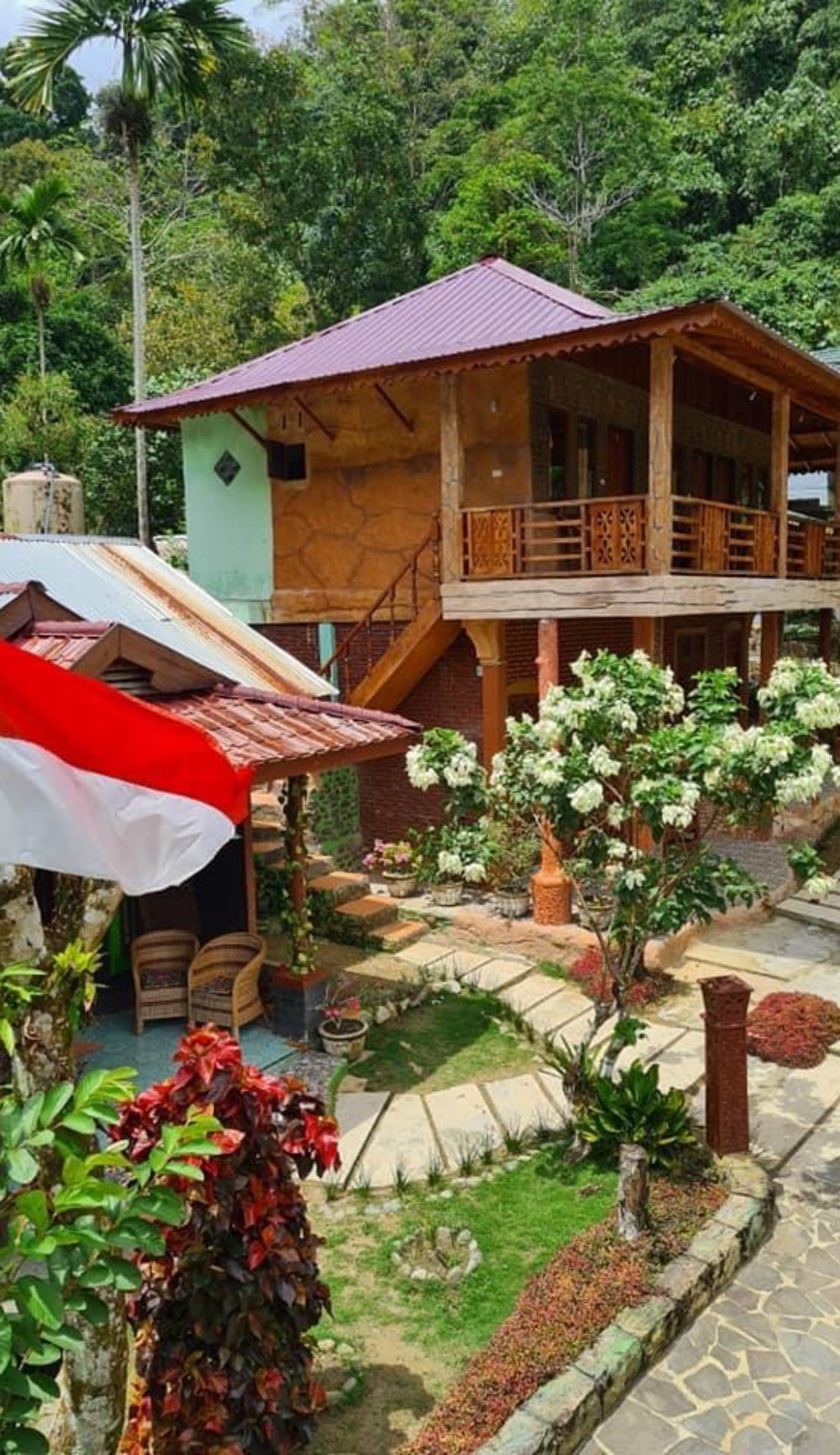 Nora's Homestay and Rainforest