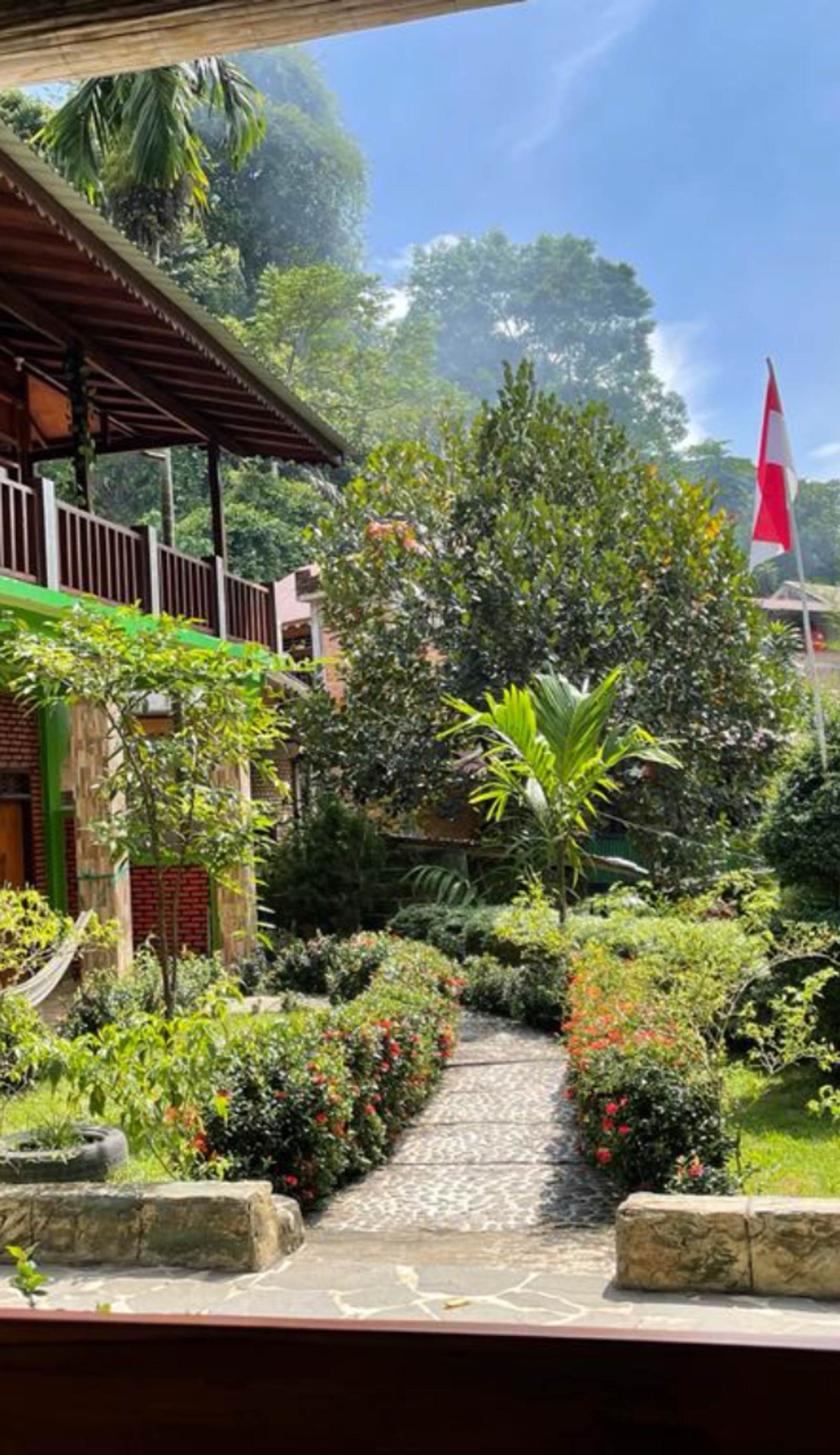 Nora's Homestay and Rainforest