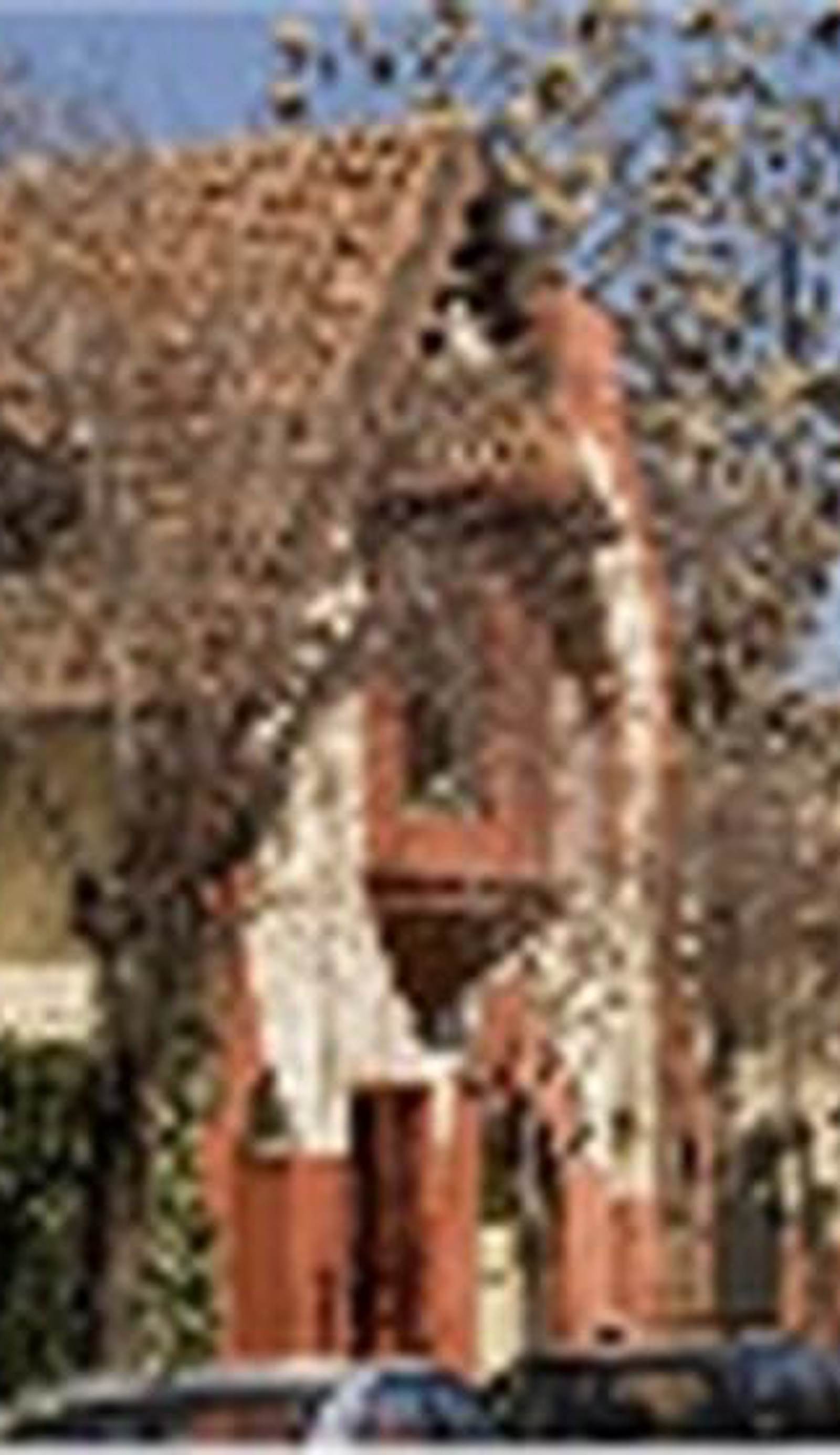 Providencia Bed and Breakfast