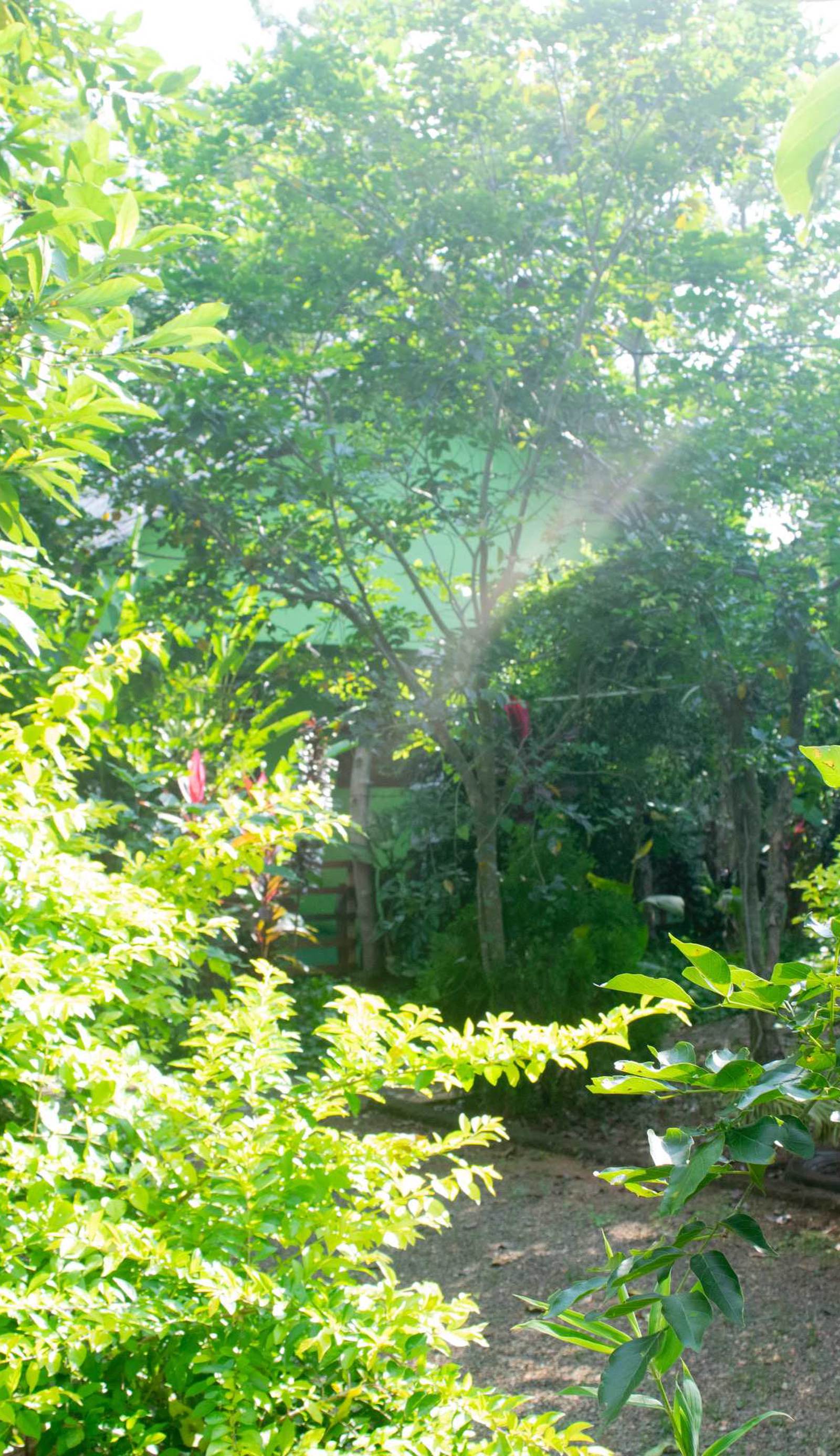 Evergreen Villa Nature Resort