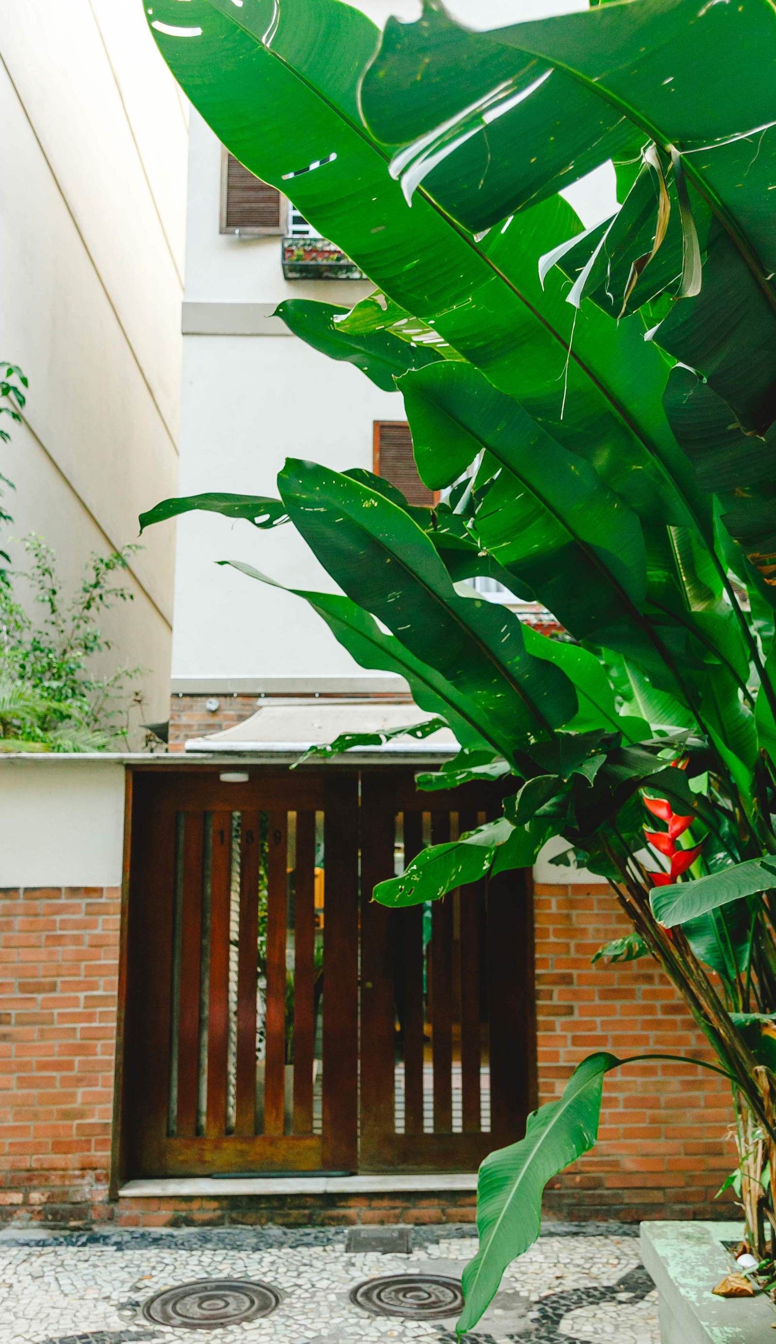 Palace Beach Hostel