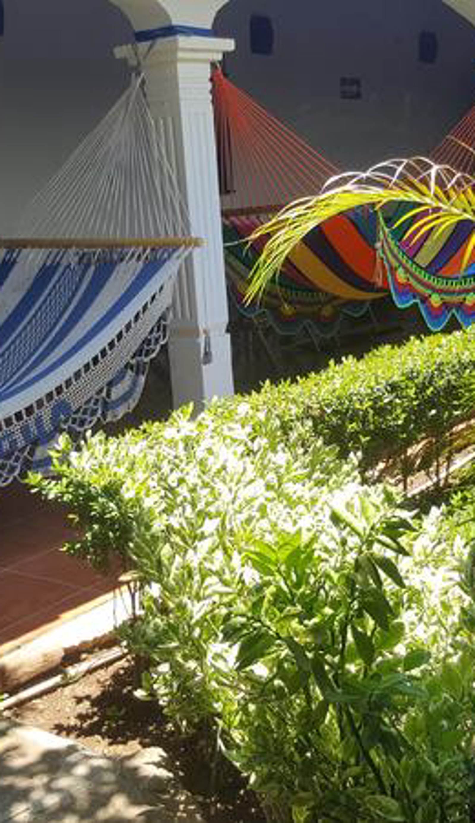 Hostal El Jardin