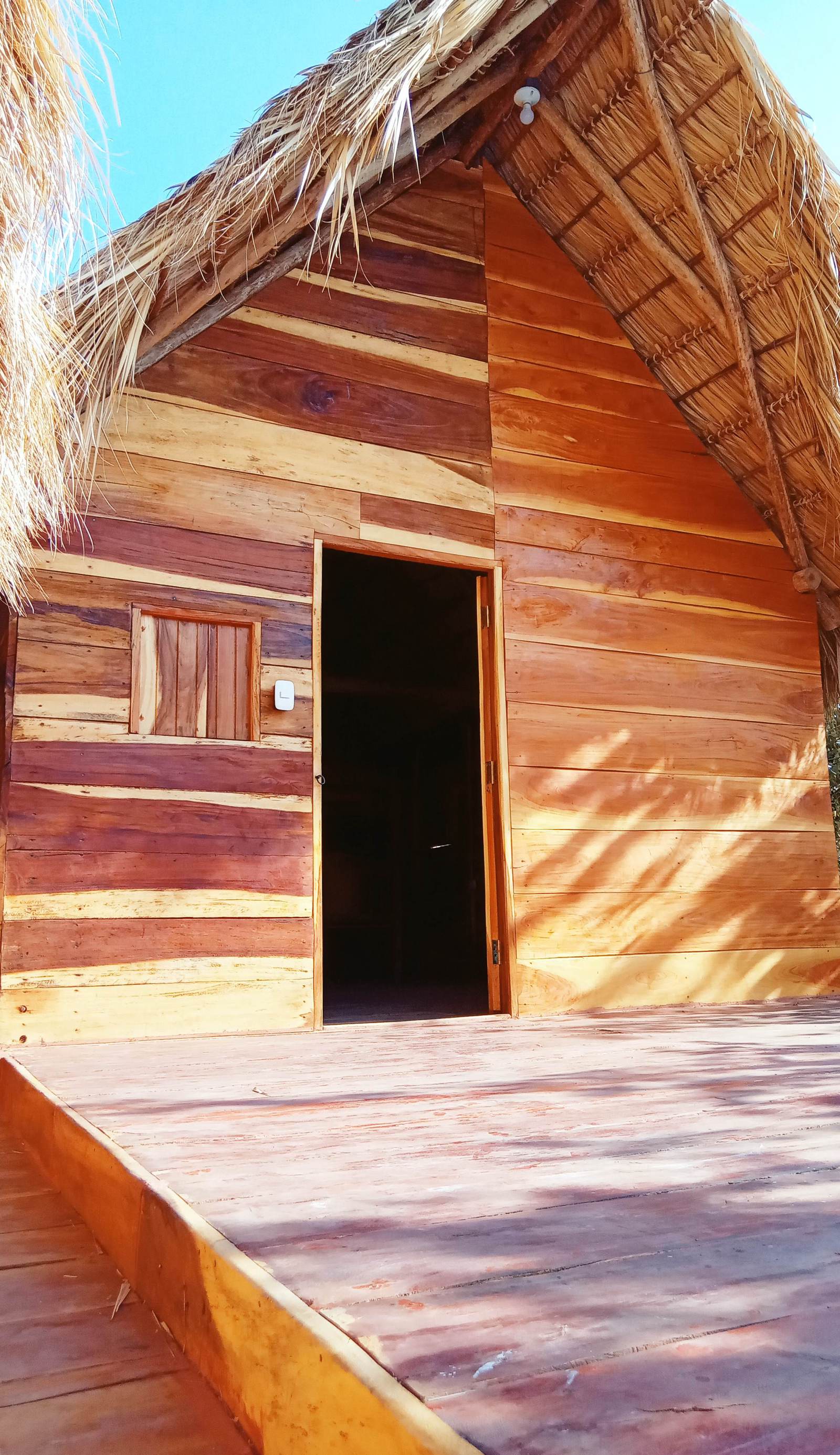 La Cueva del Grifo Loco