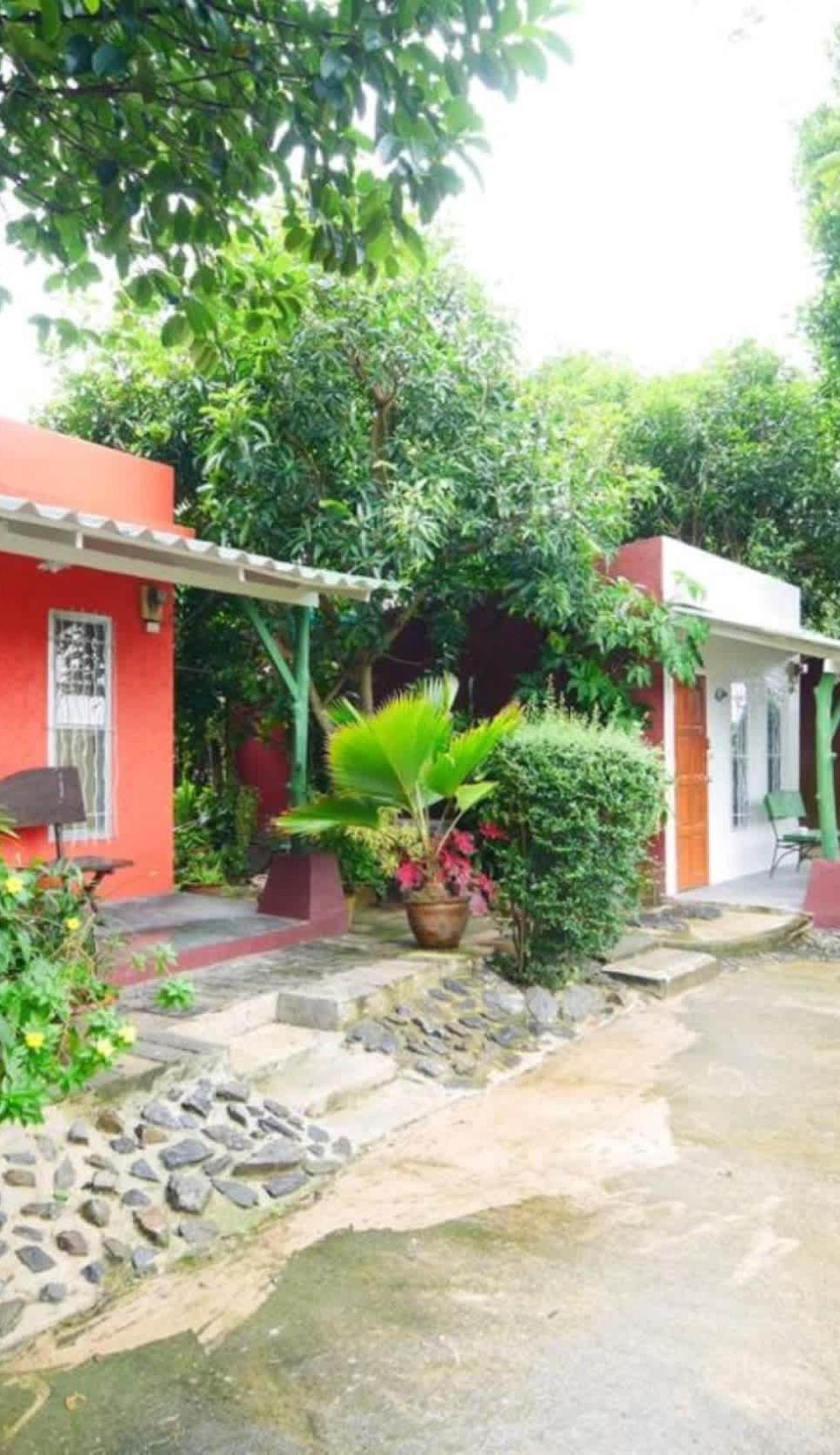 Forest Bungalows & Mama's Restaurant