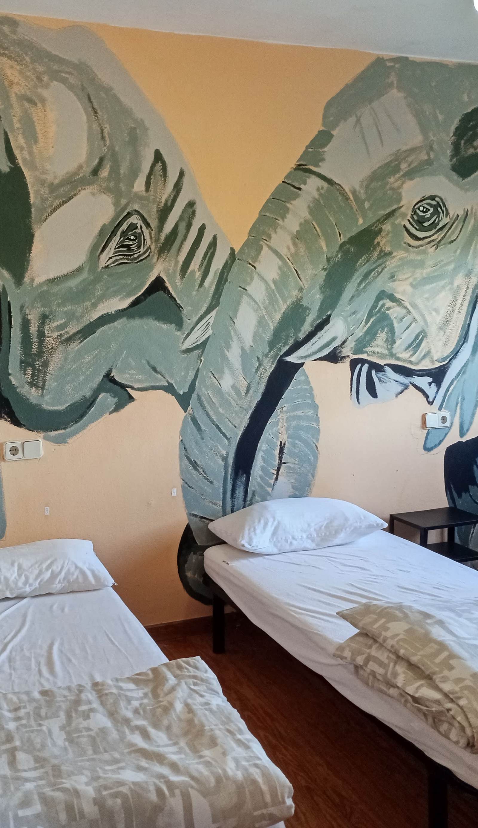 Hostel-Albergue La Casa Verde