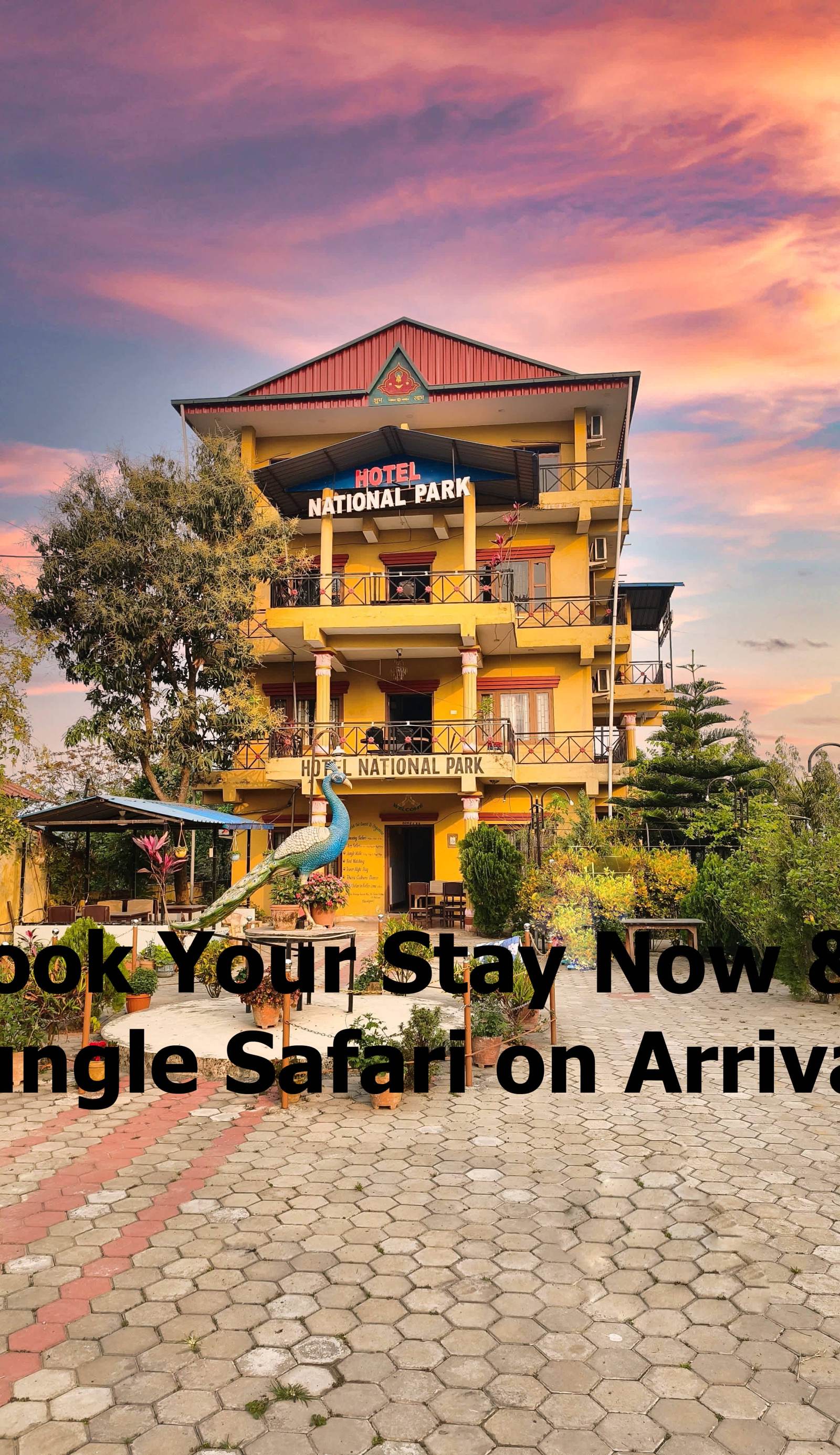 Hotel National Park Sauraha -Homely Stay and Peaceful Location with Jungle Safari arrangements