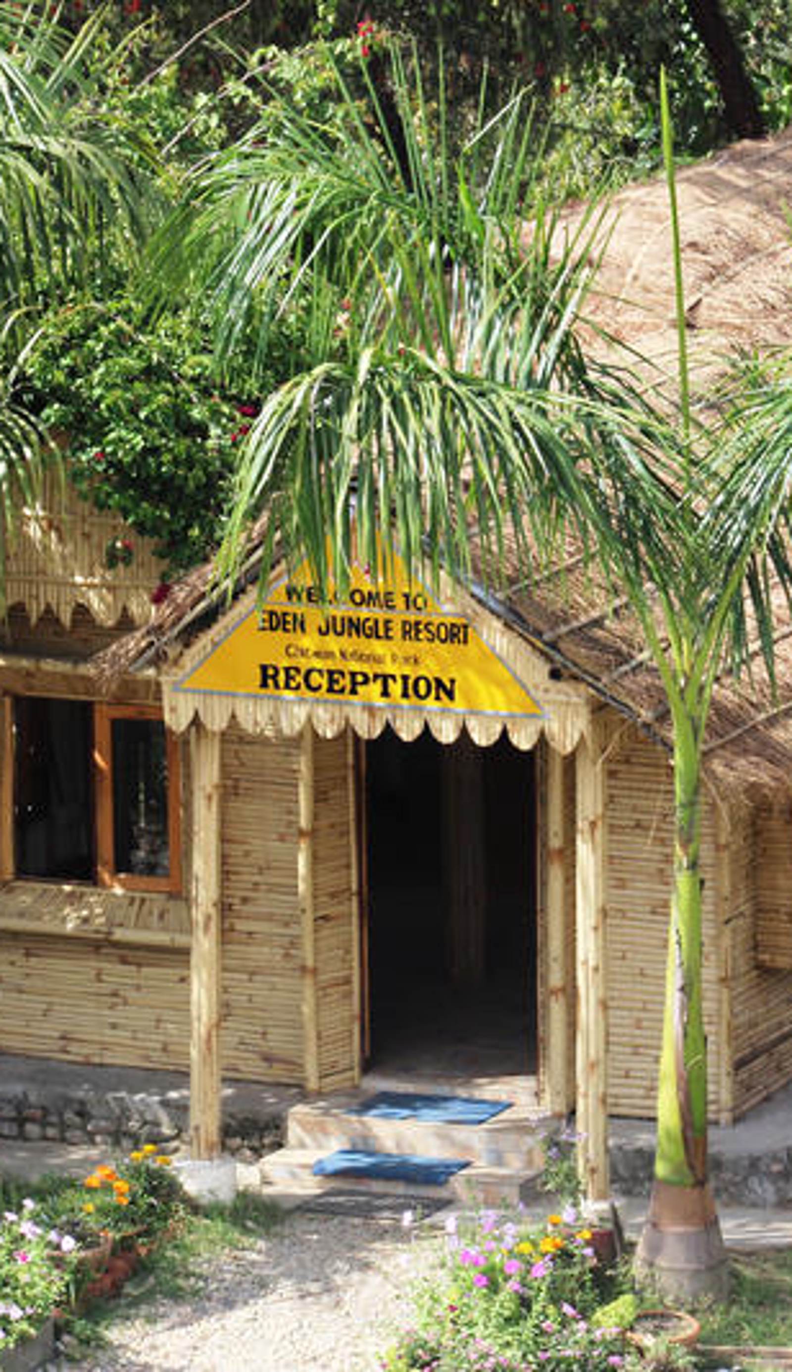 Eden Jungle Resort
