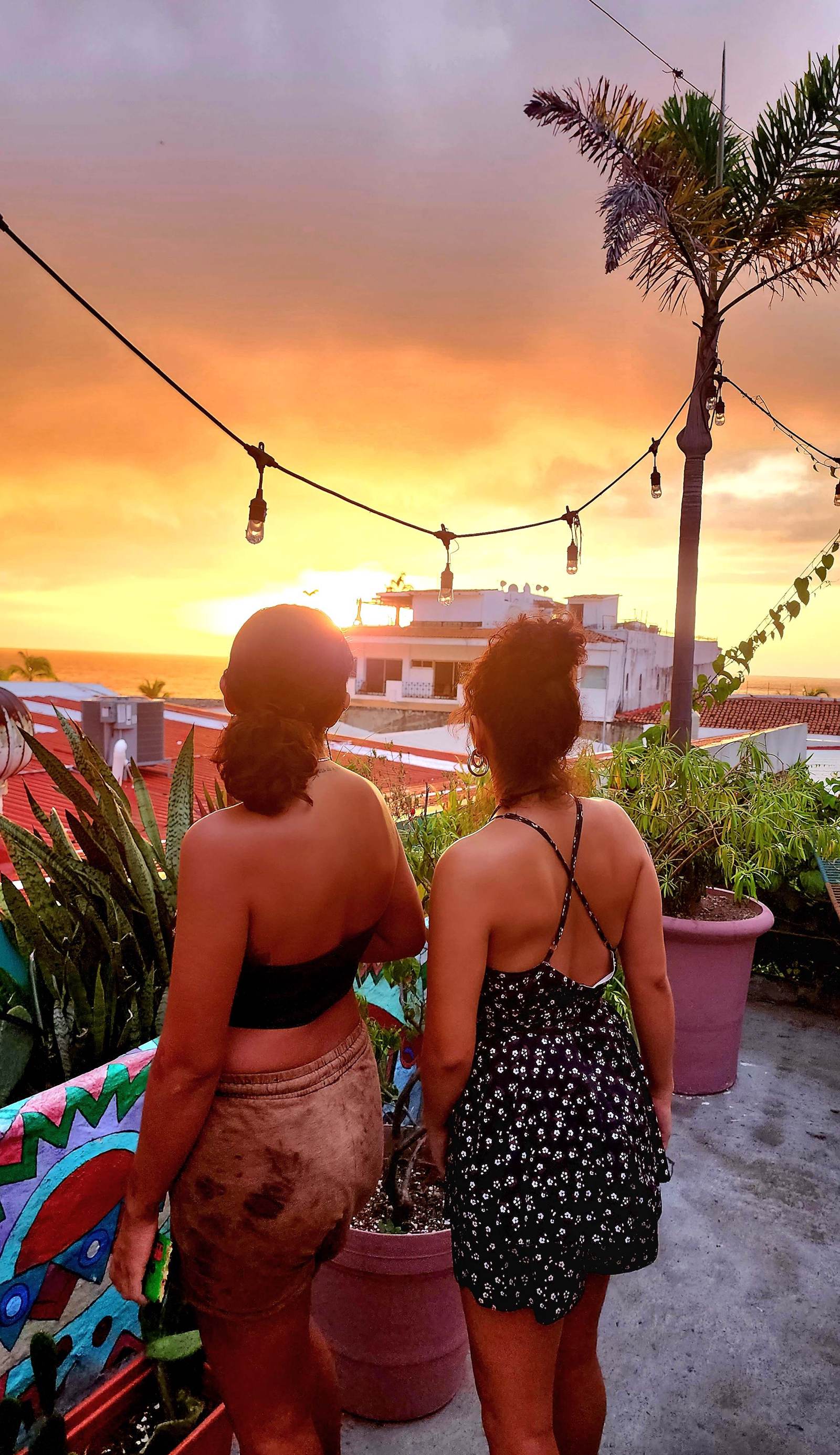 Hostel Vallarta