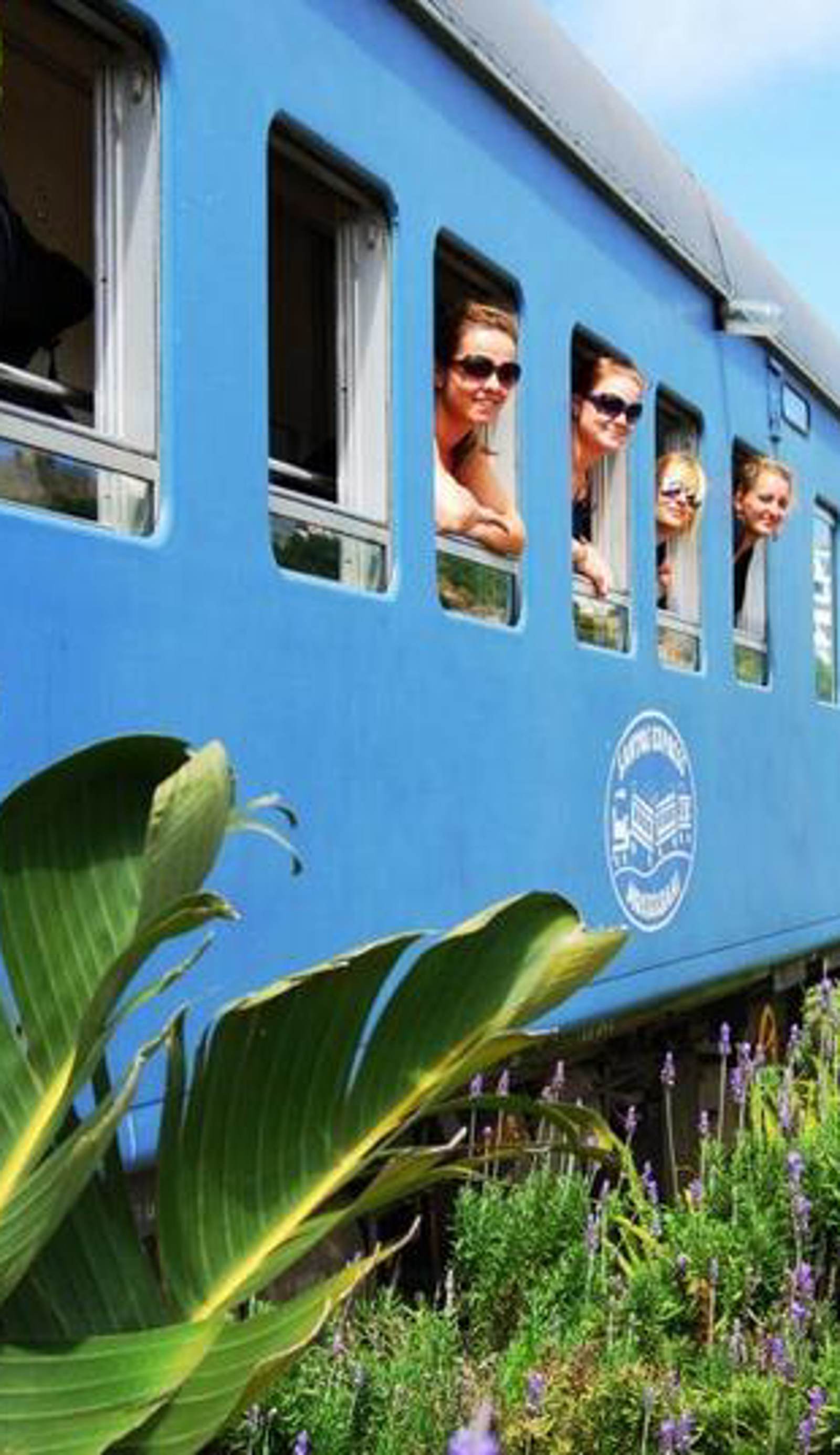 Santos Express Train B&B
