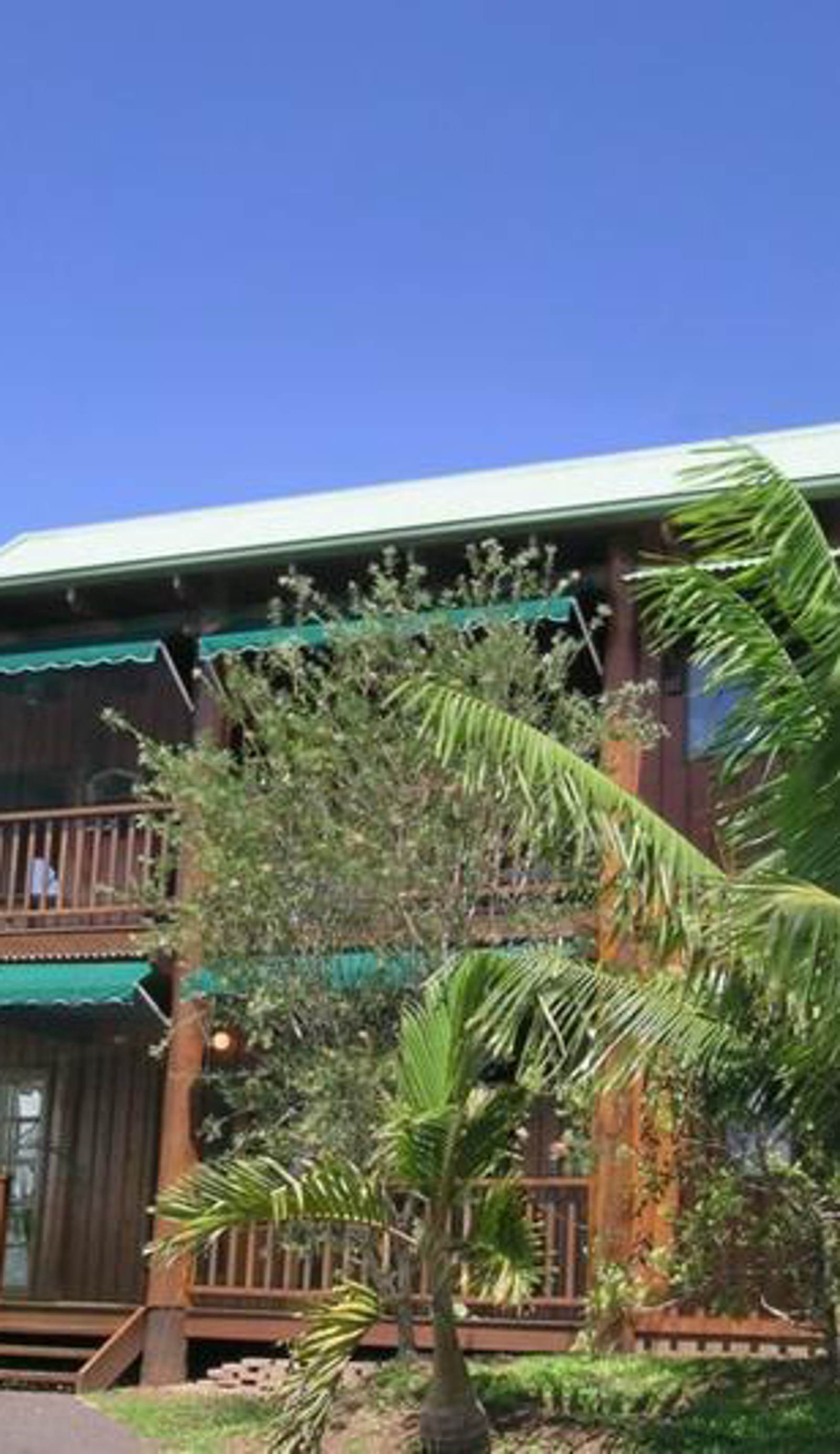 Atherton Blue Gum B&B
