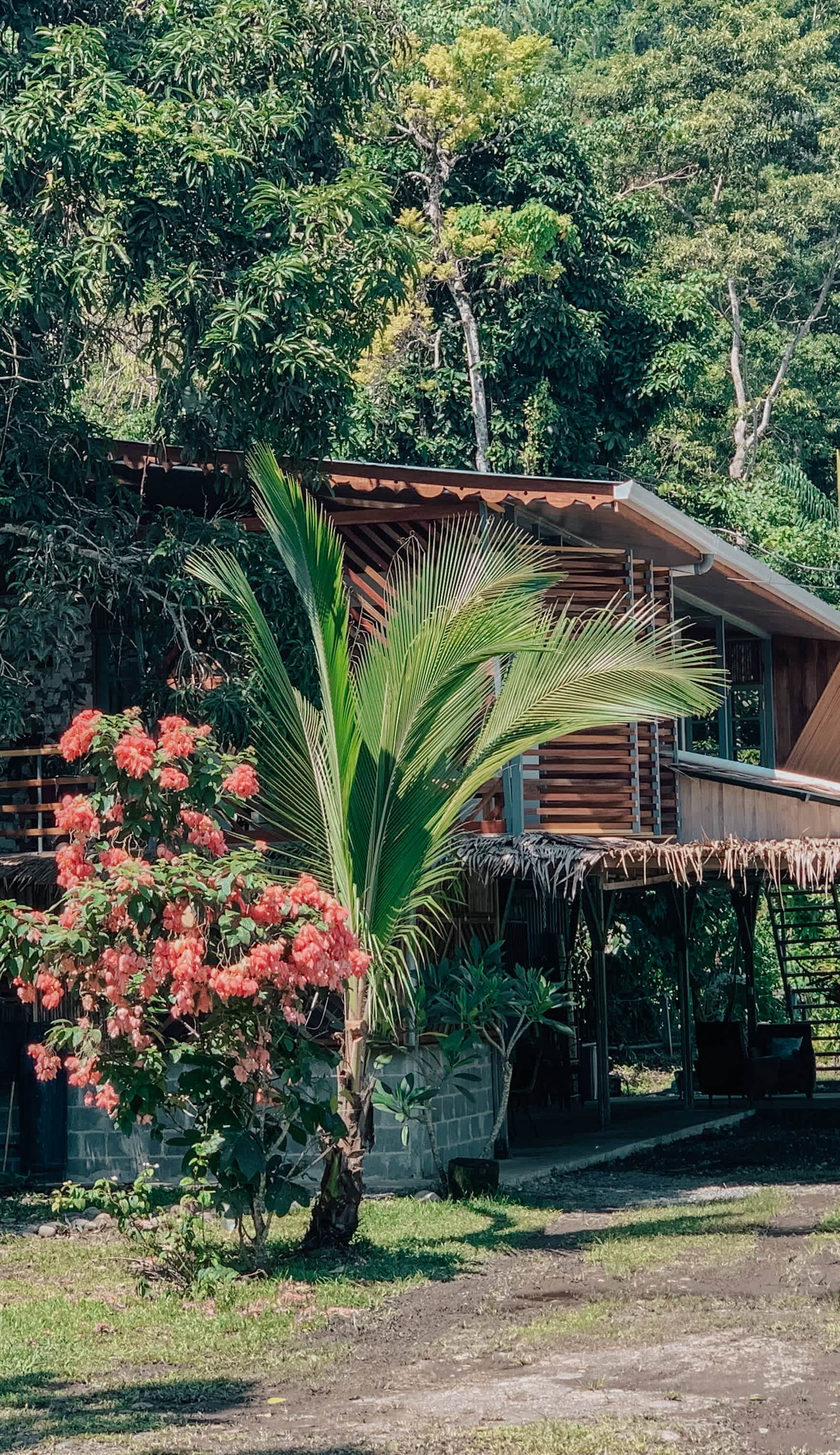 Organico Punta Riel