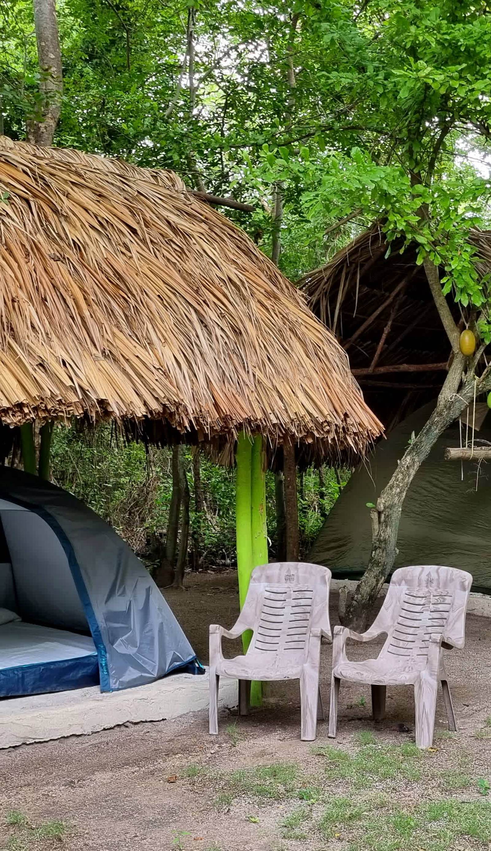 Ecocamping El Frutal
