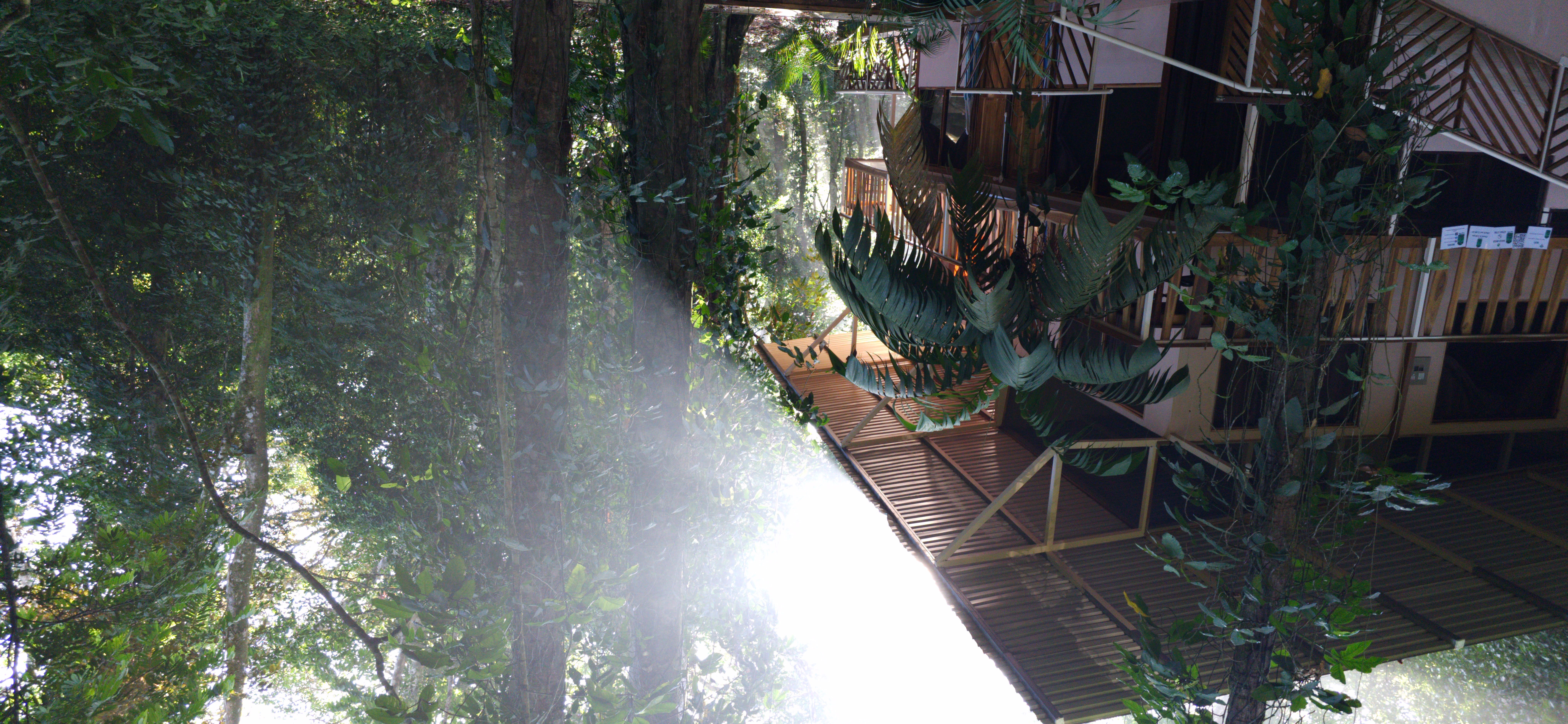 Cool Waters Jungle Hostel