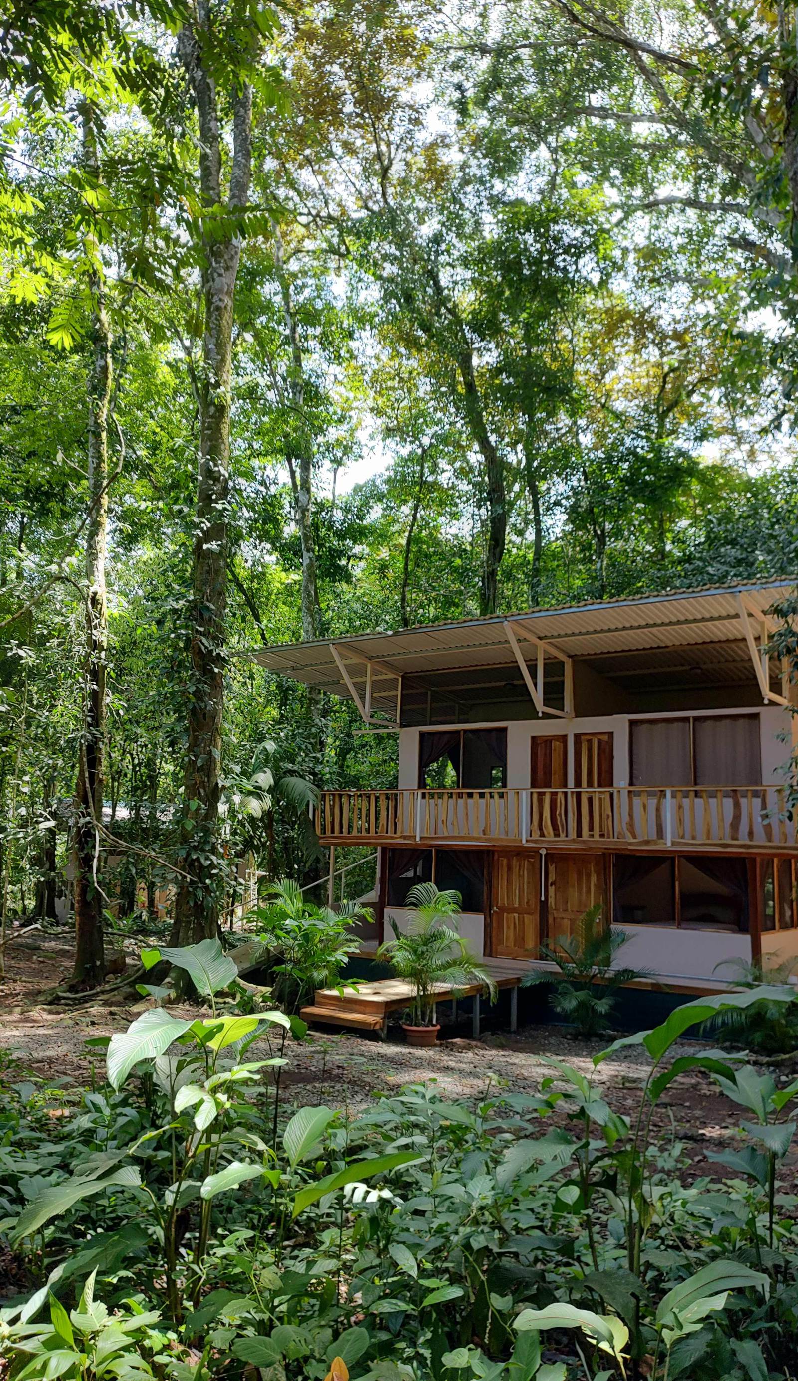 Cool Waters Jungle Hostel