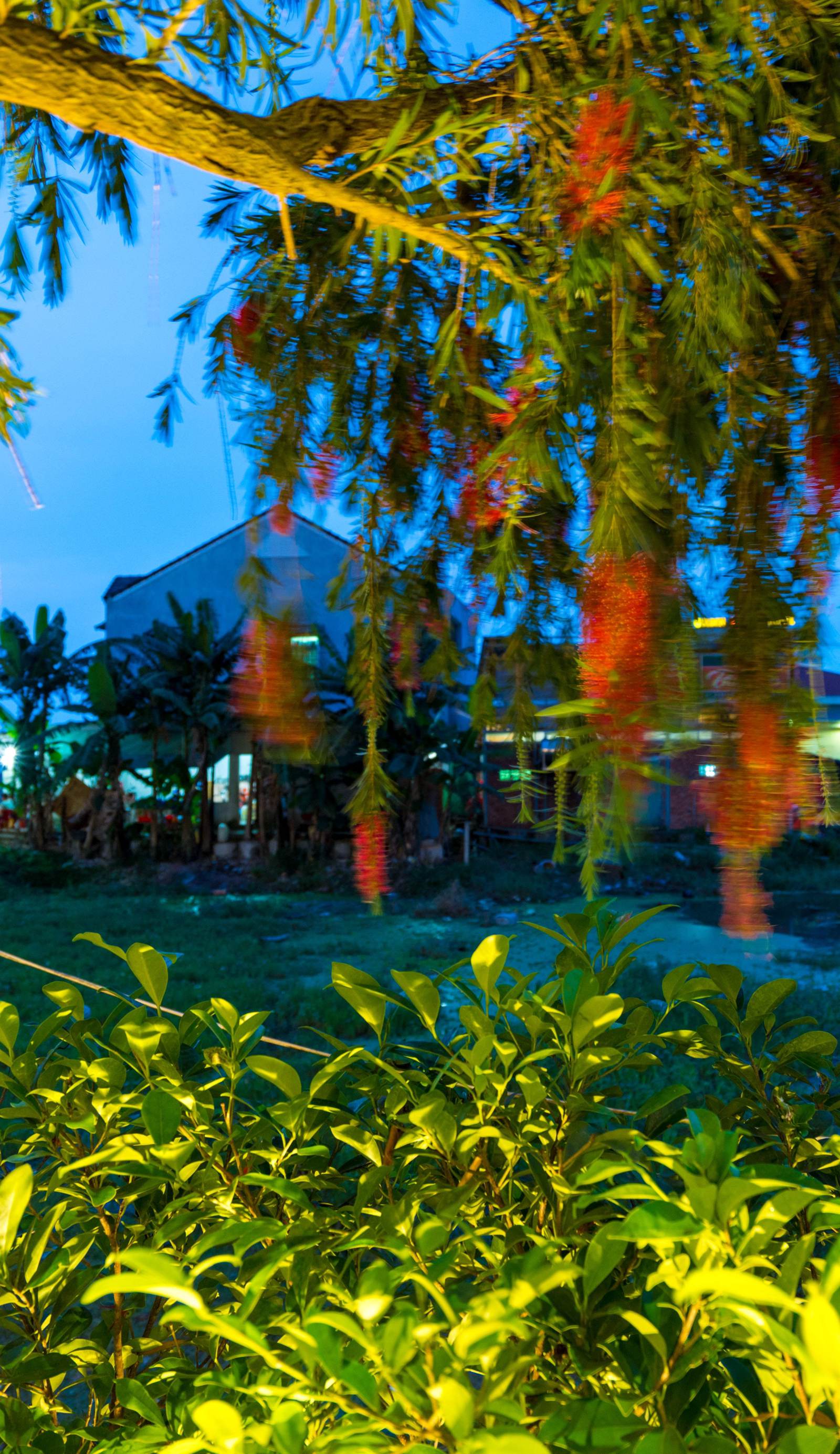 Zen Boutique Villa