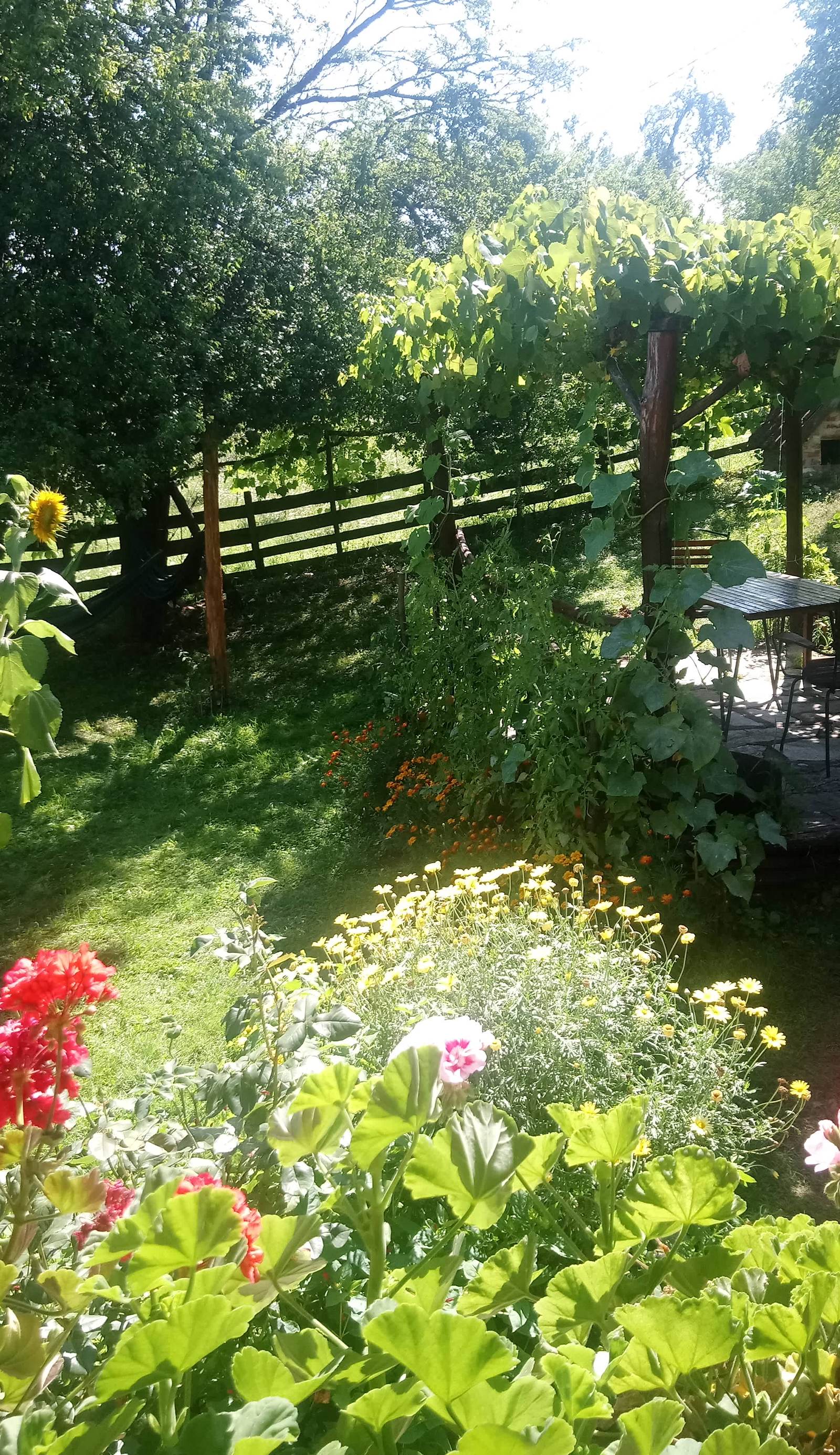 Guest House Little Heaven