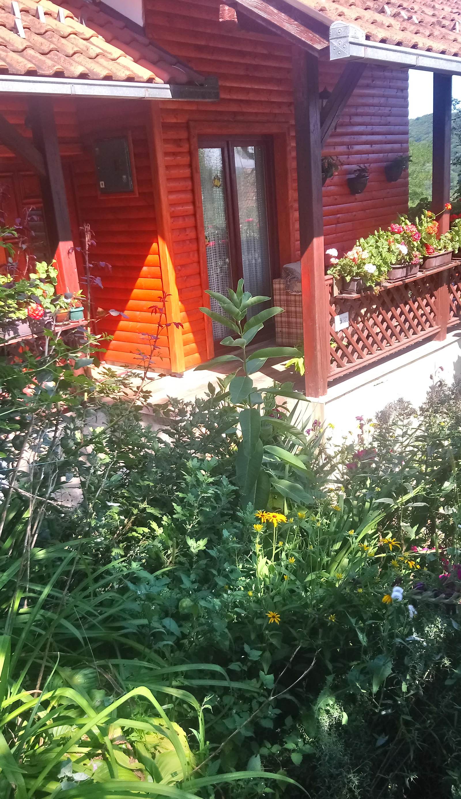 Guest House Little Heaven