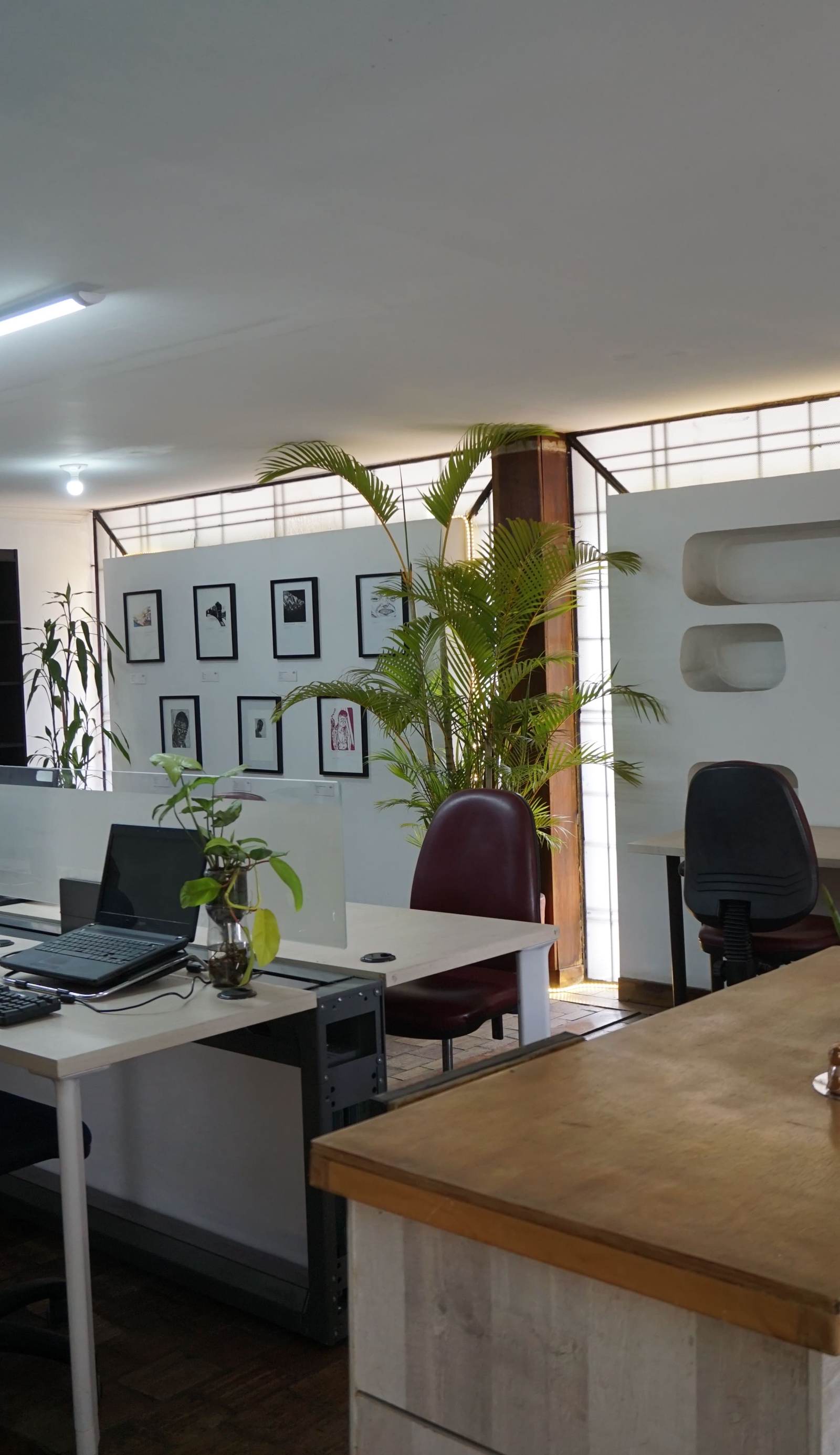 Casa ARQ