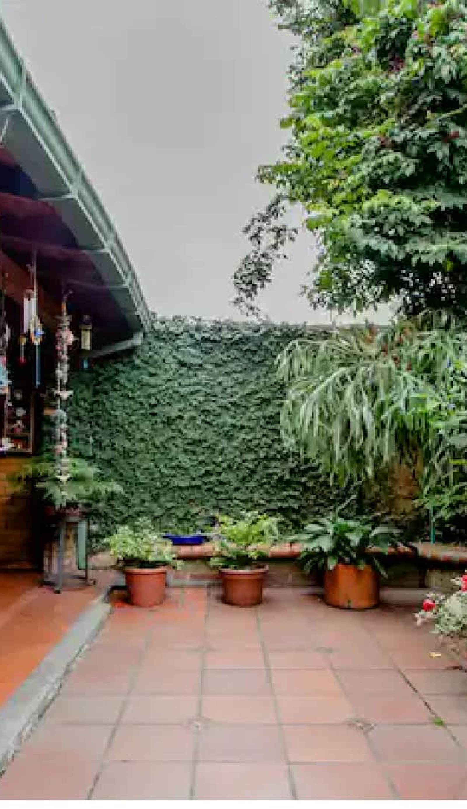 Bio-hostel la Manigua