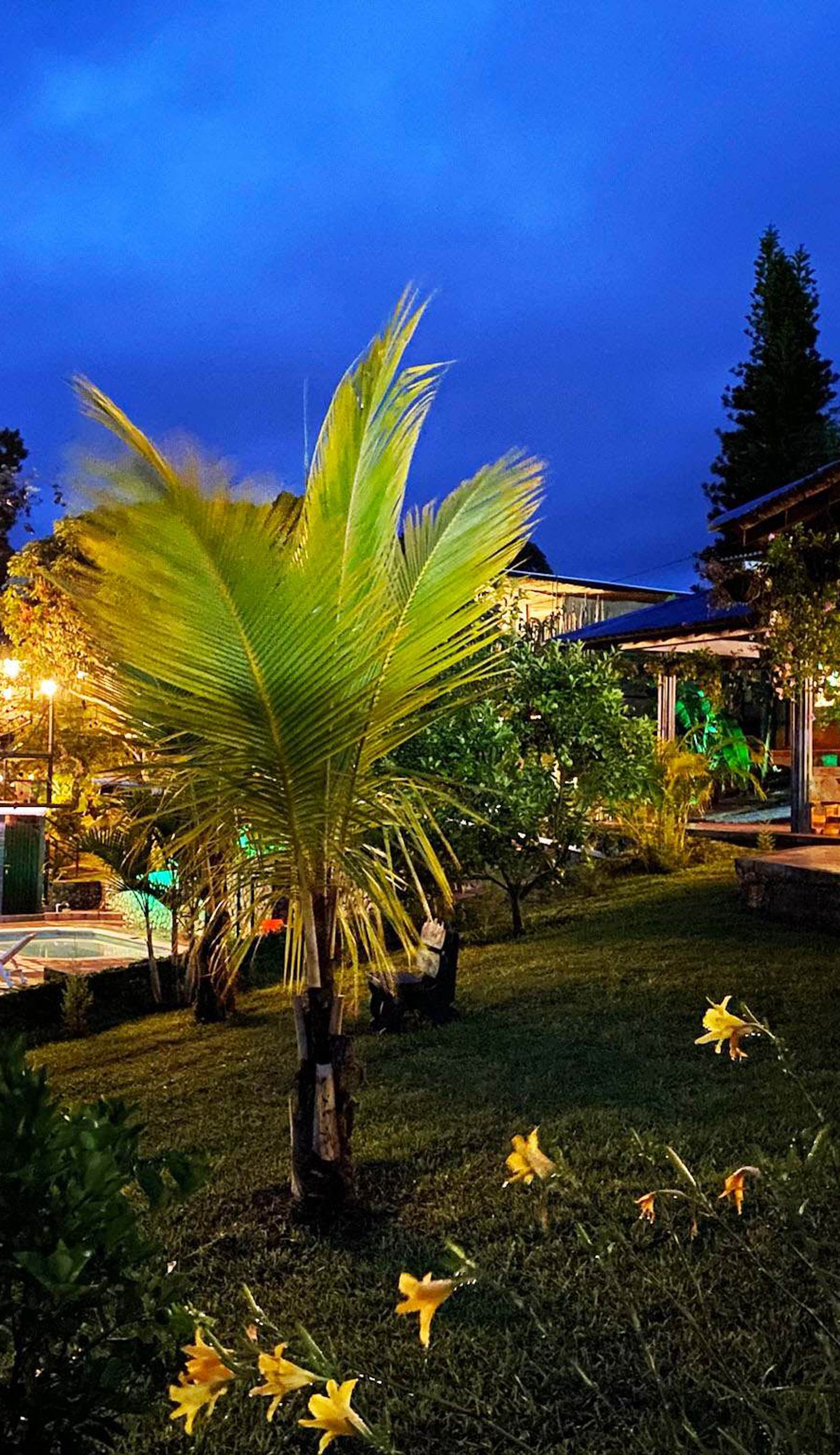 Natural Luxury Hotel