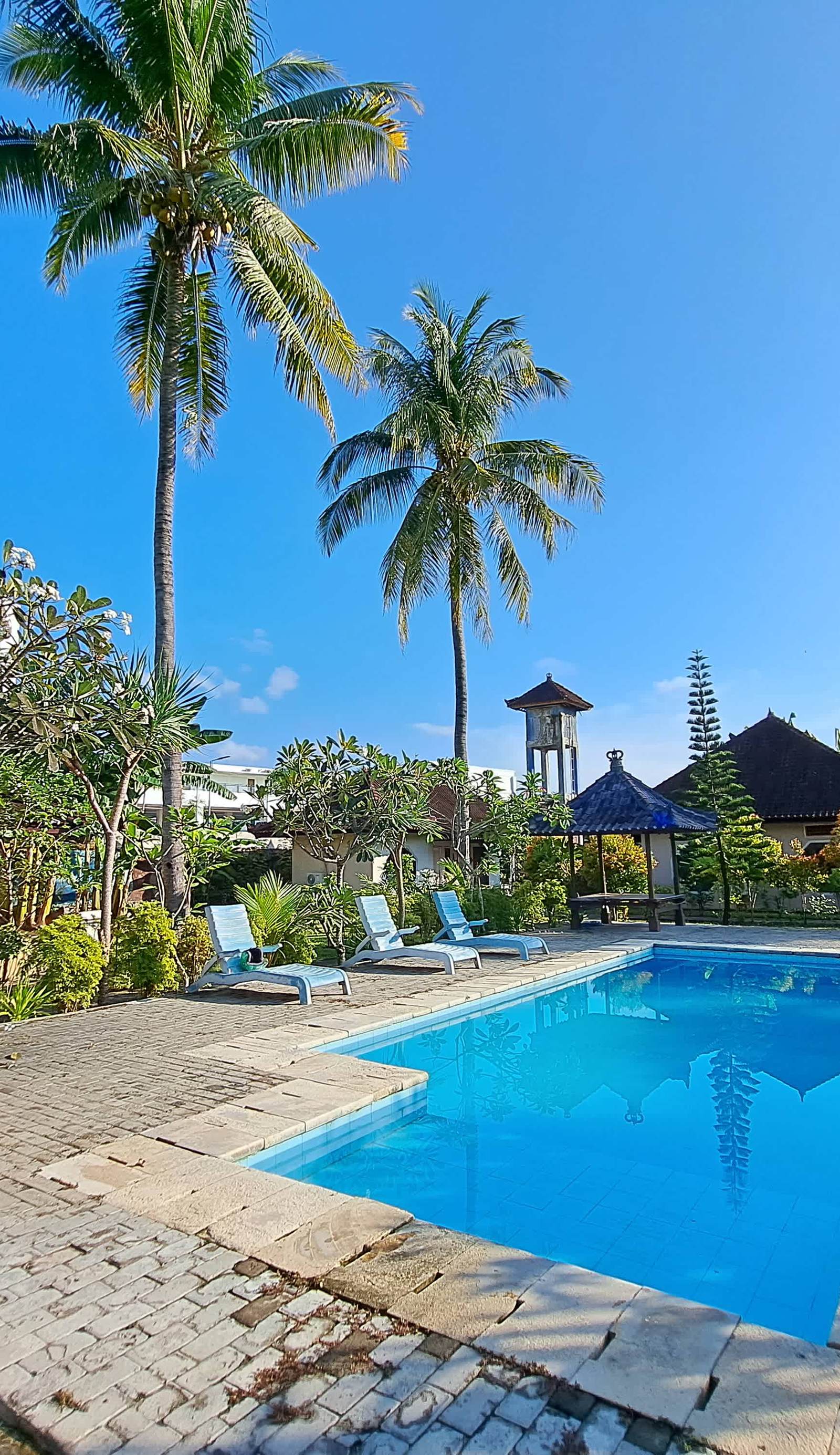 Surfers Beachfront