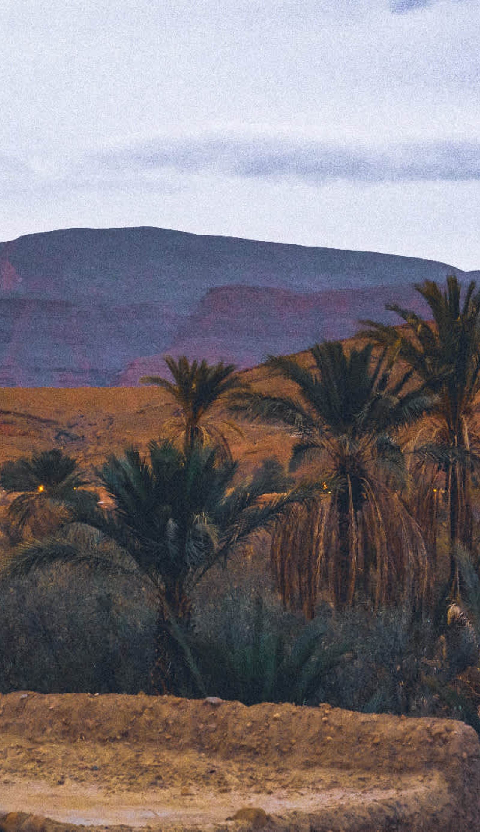 Oasis Travel