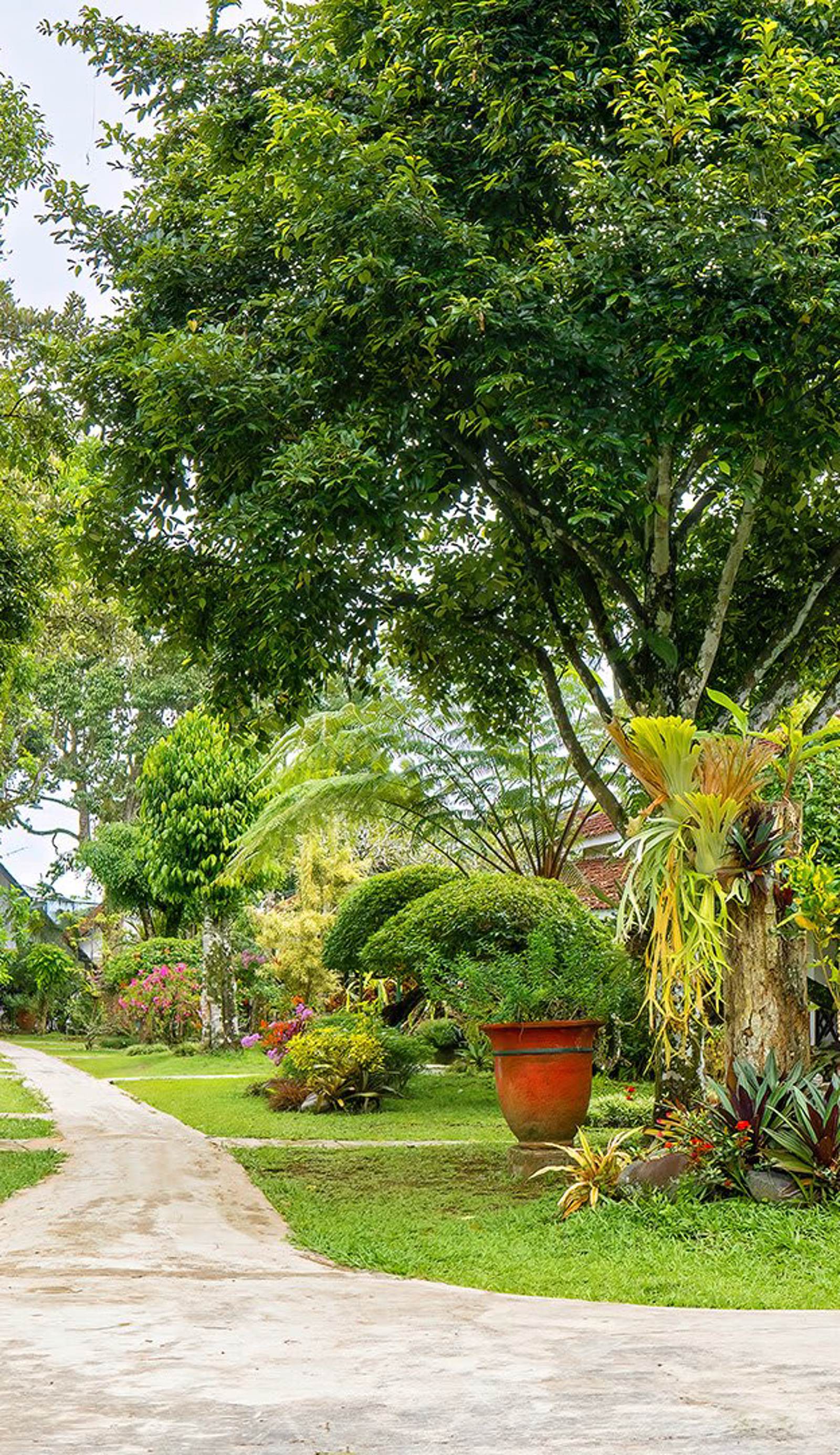 Margo Utomo Eco Resort